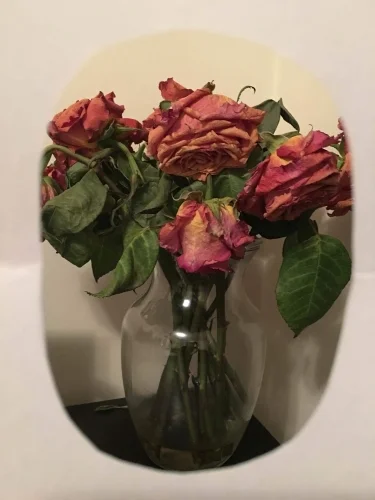 Project_B Morgan.jpeg