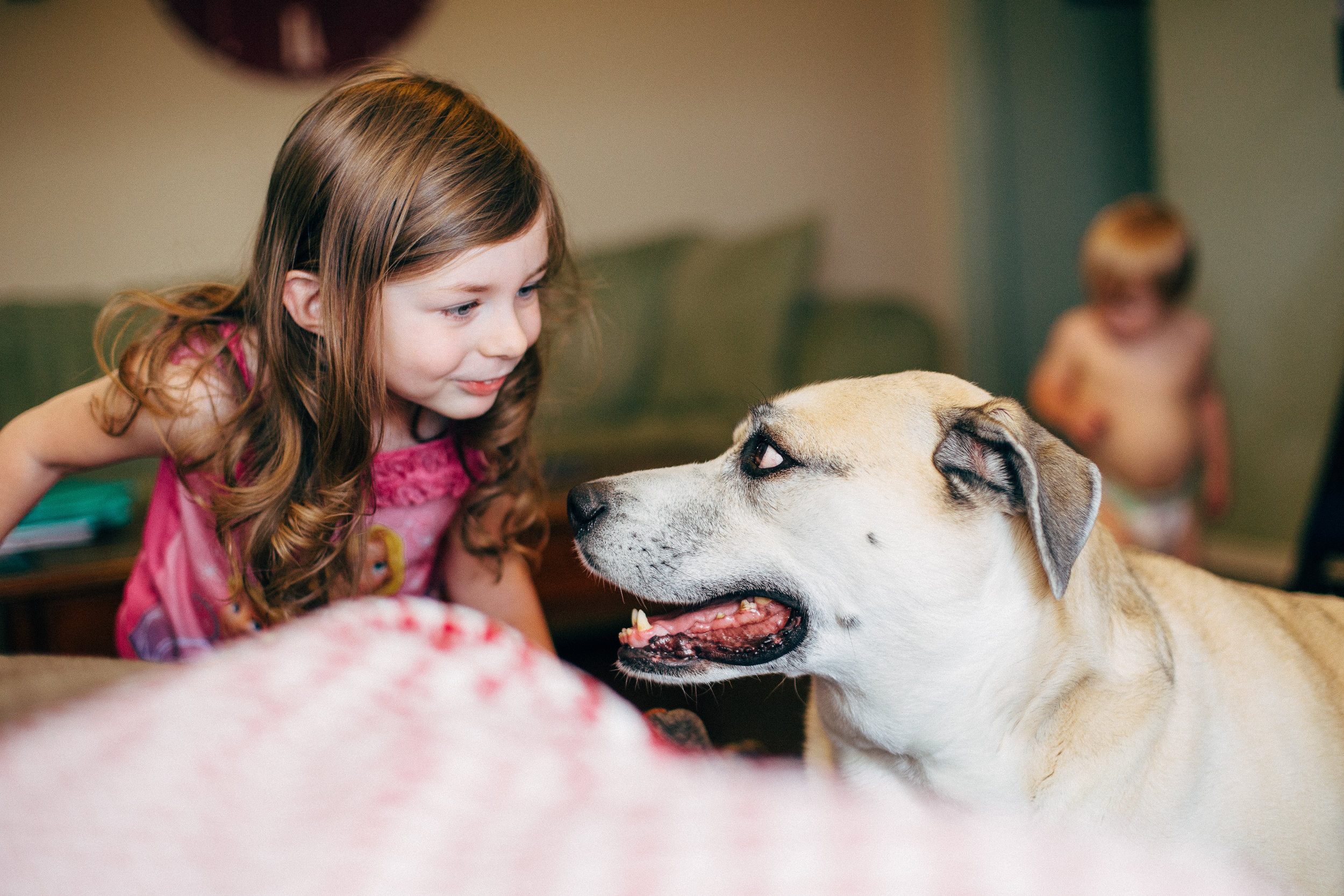 Houston Family Pet Photographer