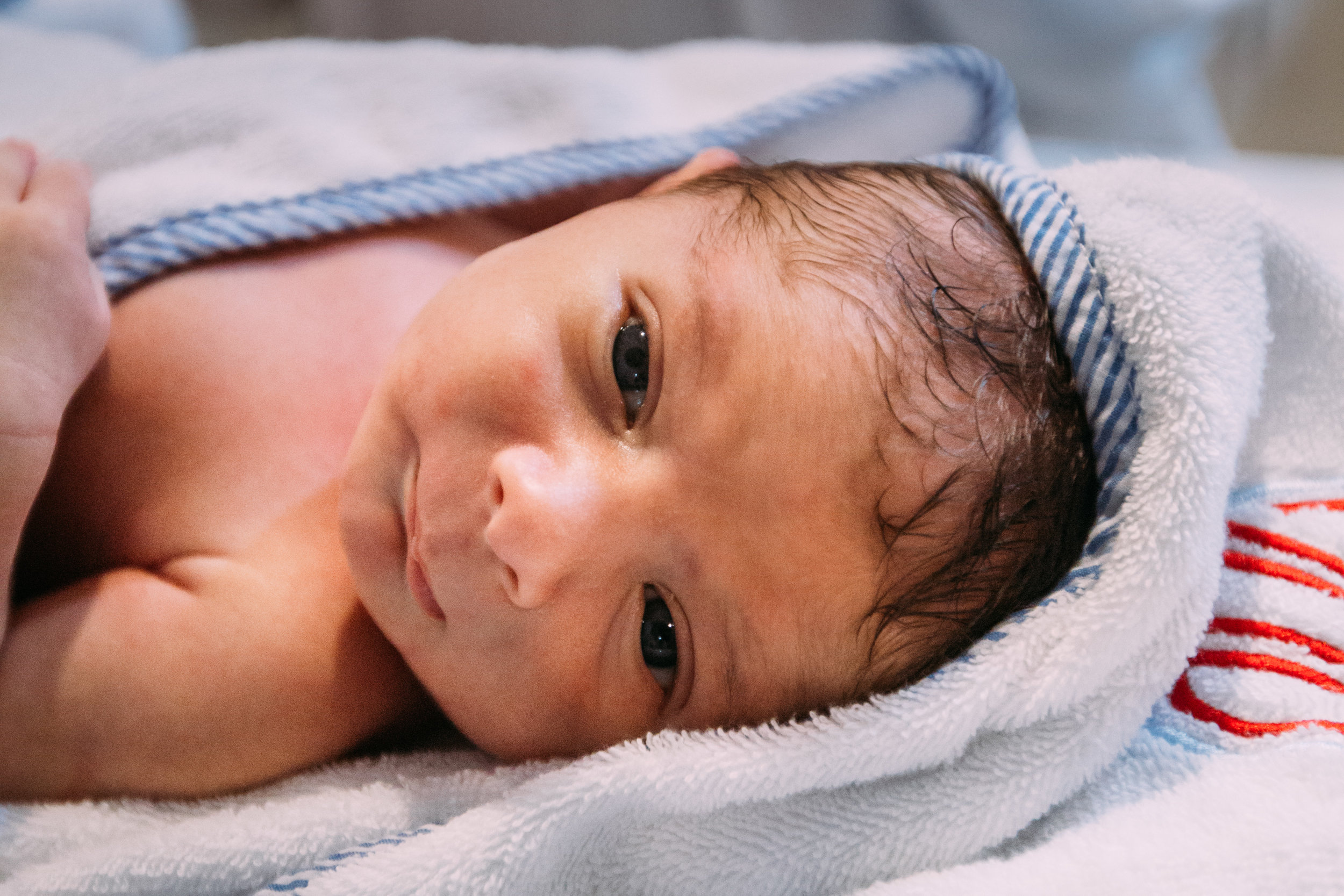 newborn photographer in houston - leblanc-11.jpg