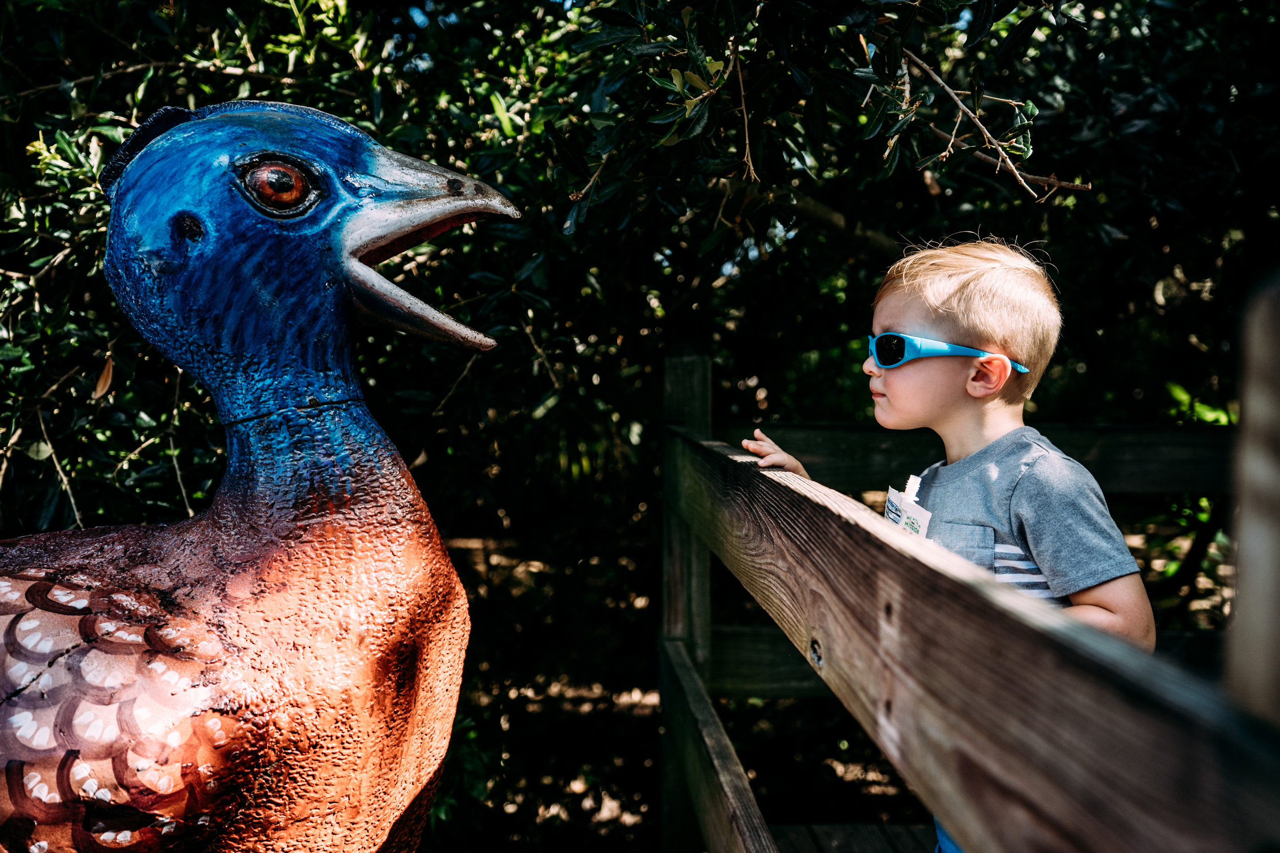 Documentary Family Photographer - Houston Zoo Trip-05815.jpg