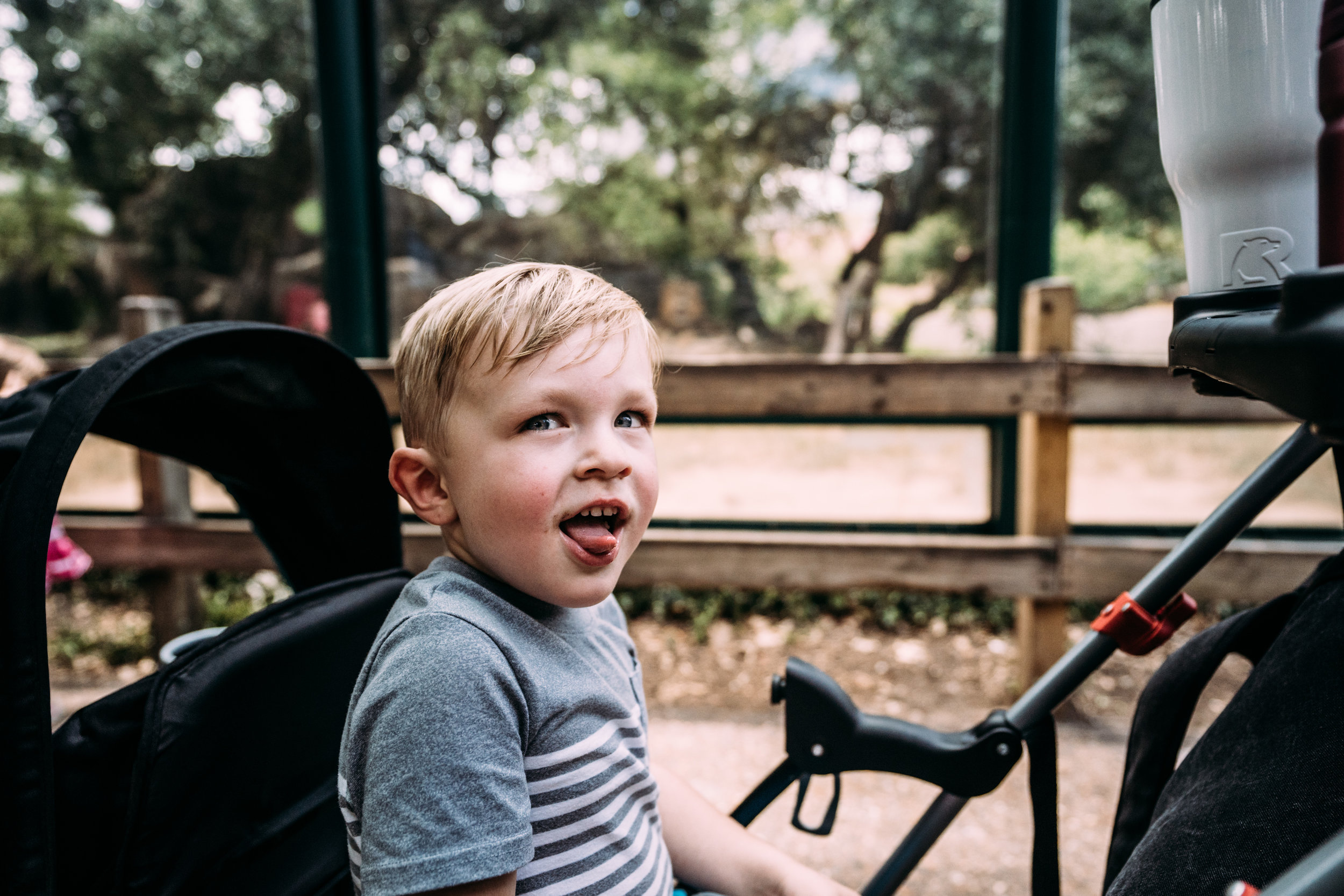 Documentary Family Photographer - Houston Zoo Trip-06632.jpg