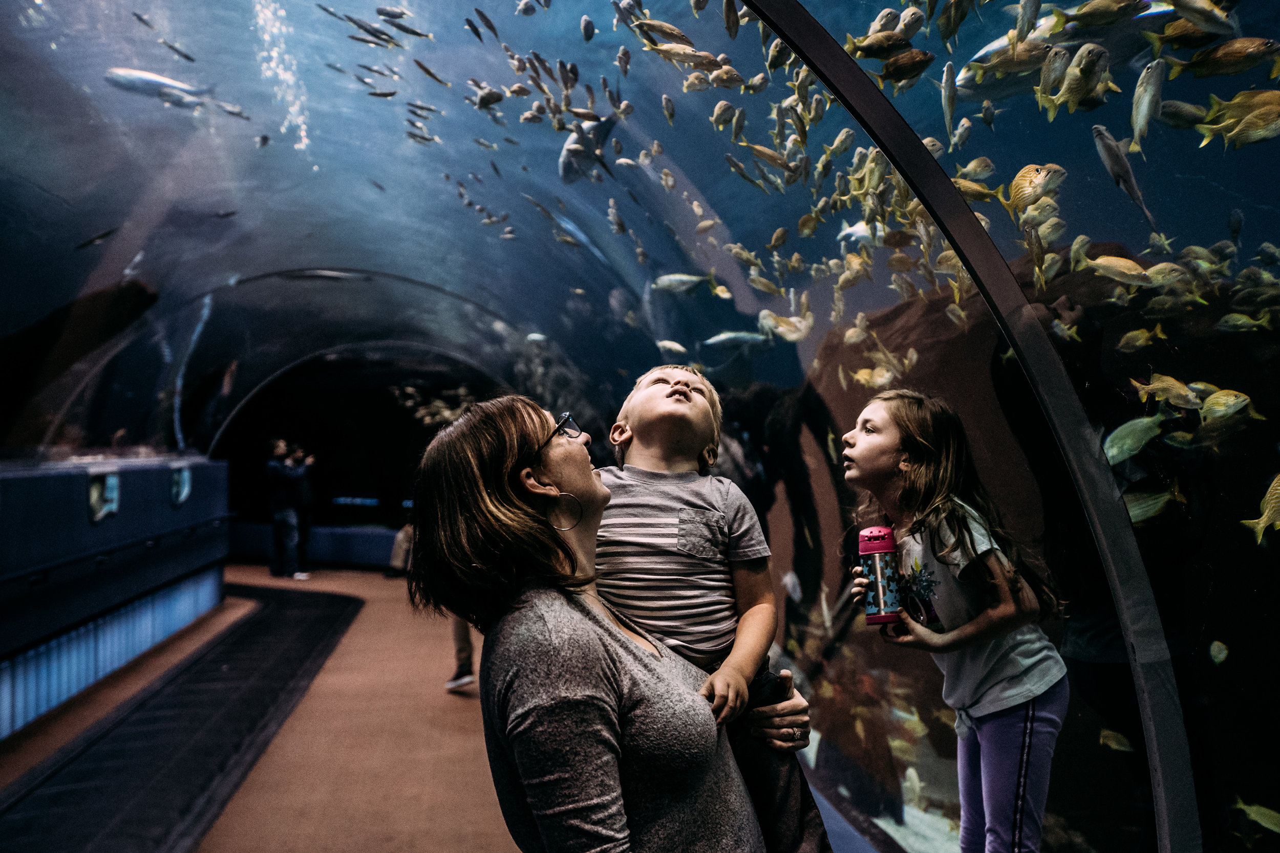 Georgia Aquarium - Family Photographer-03328.jpg