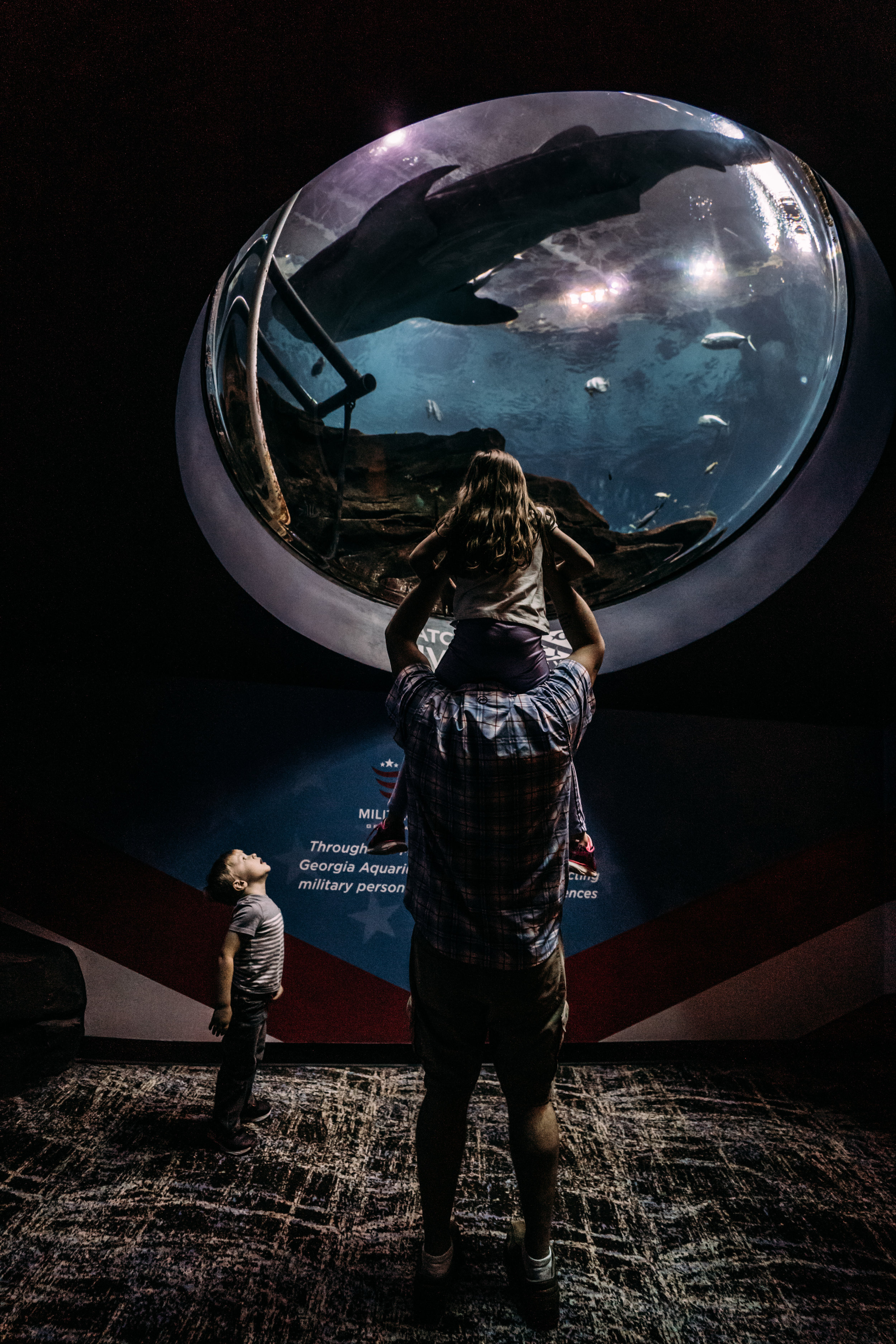 Georgia Aquarium - Family Photographer-03389.jpg