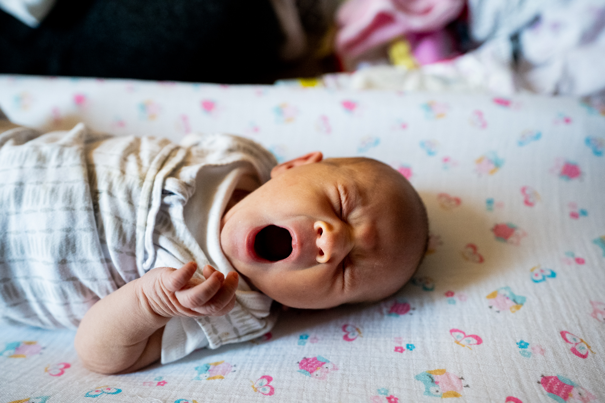 Newborn at home-1.jpg