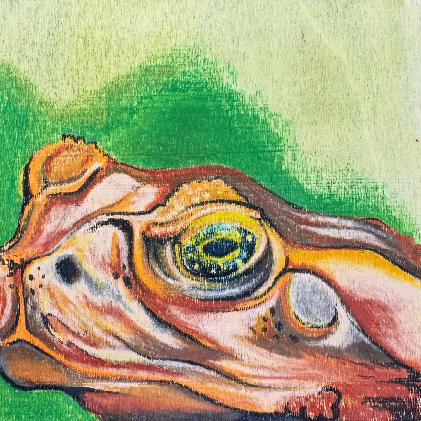 grumpy little guy - casein &amp; colored pencil on wood, 3&rdquo;x3&rdquo; DM if interested ✨More minis coming soon 💫 #toad #toadart
