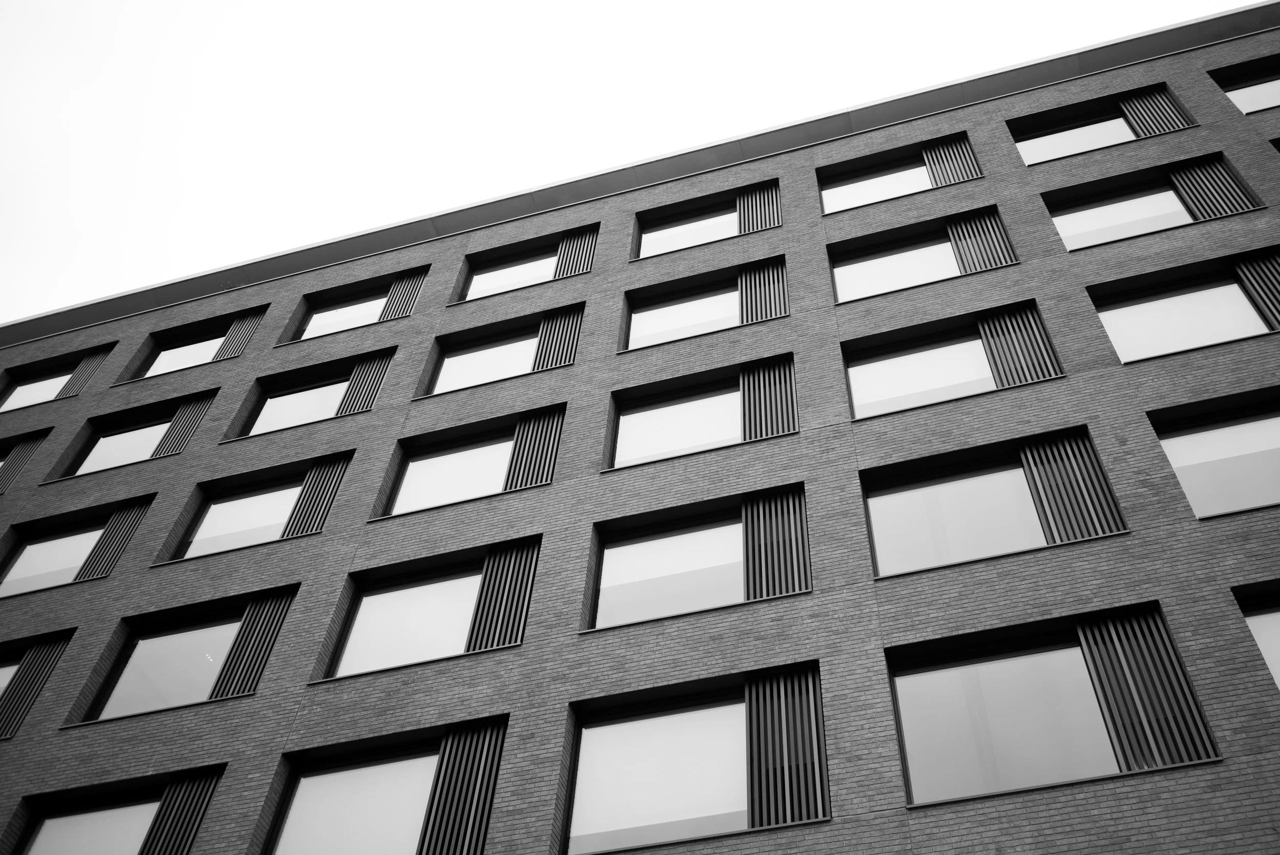 L1001869.jpg