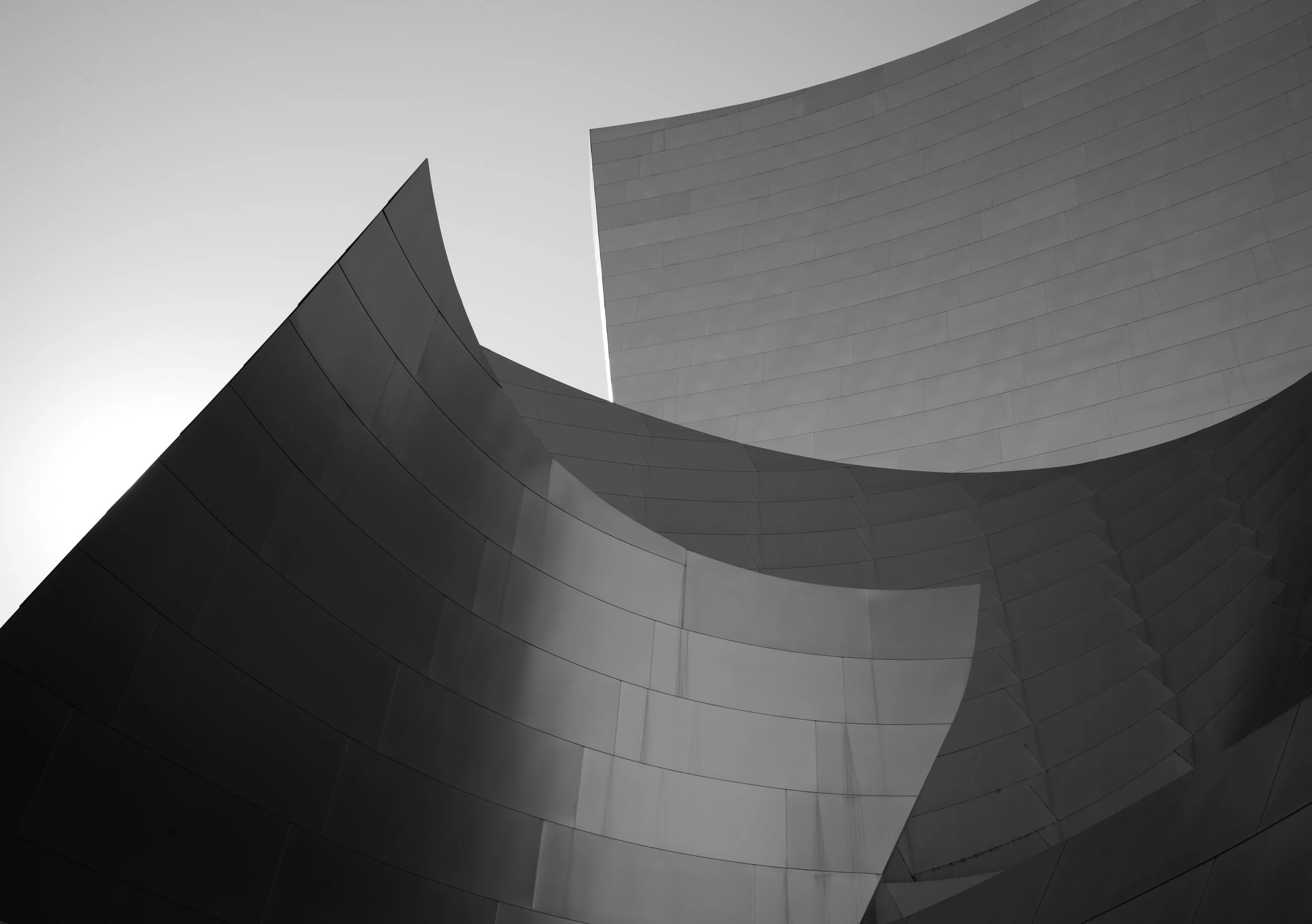 L1001830.jpg