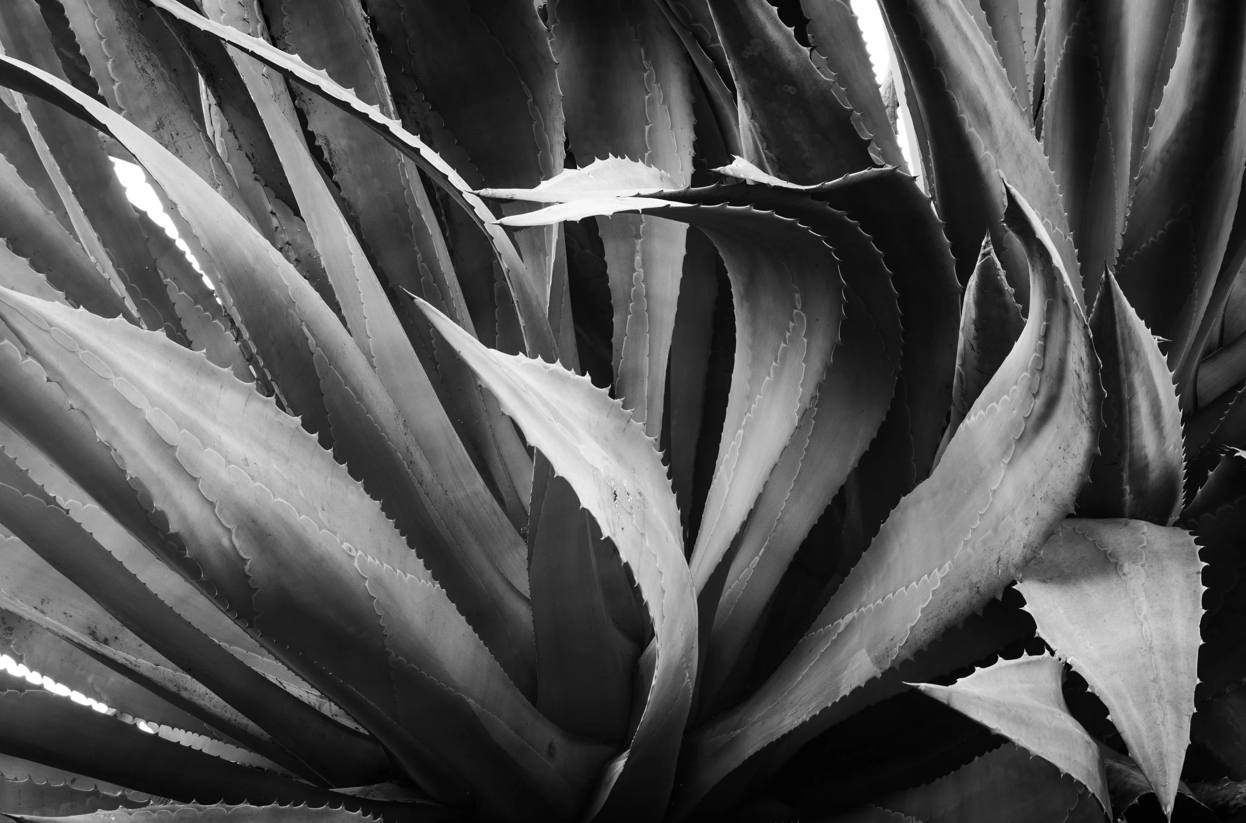 L1000149.jpg