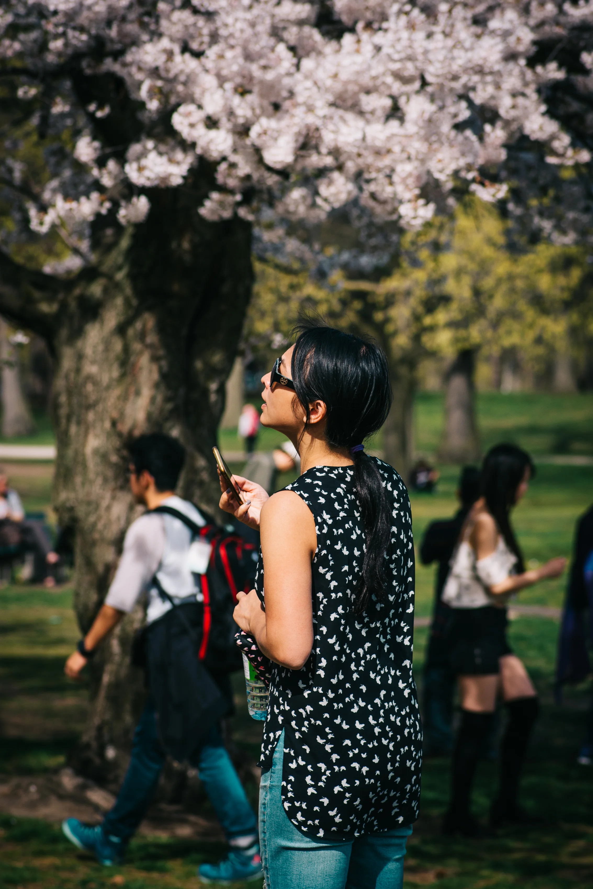cherry-8532.jpg