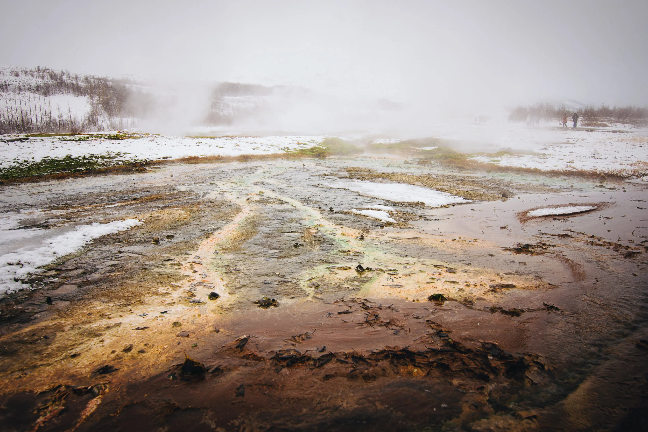 Bacterial mats in the geysers.