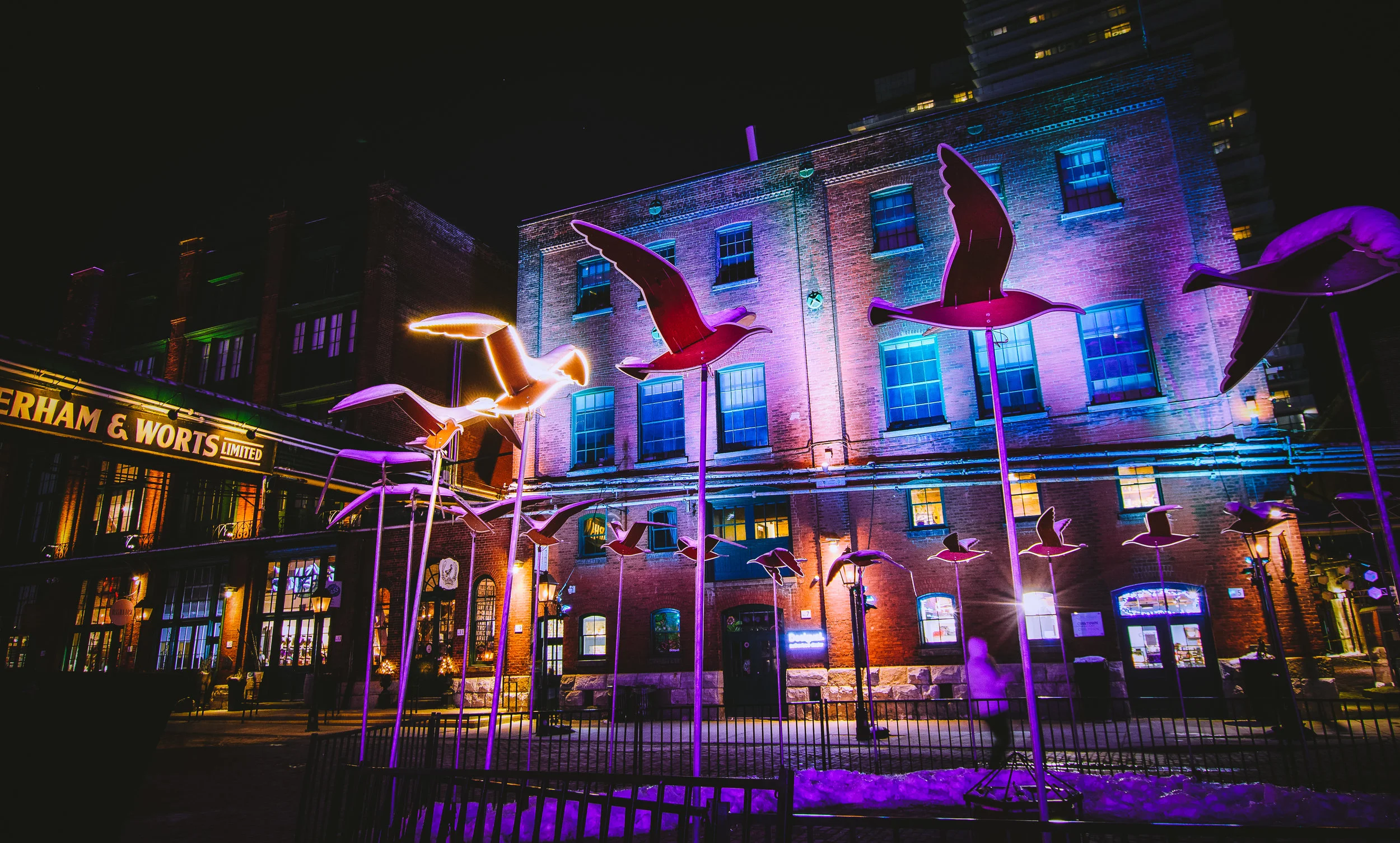 tolightfest18-7514.jpg