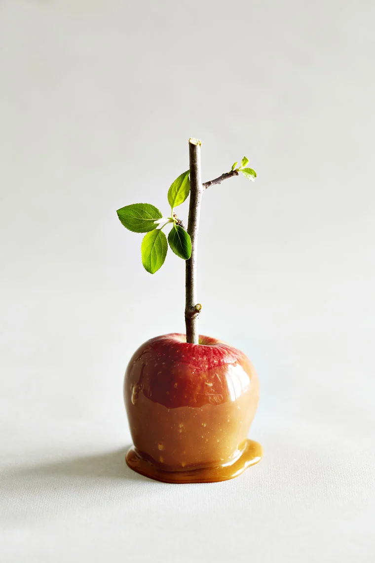 Caramel-Apple_245.jpg