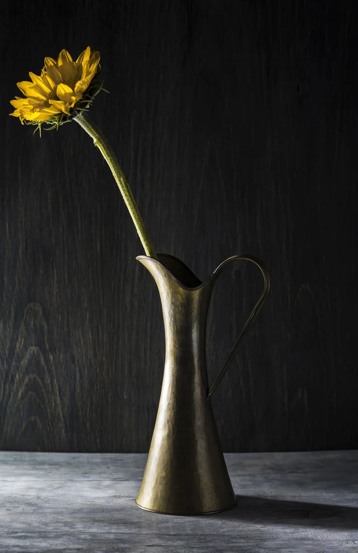 GHSunflowerV1_01.jpg