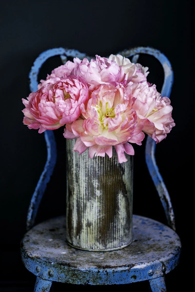 pinkflowersbluechair01.jpg