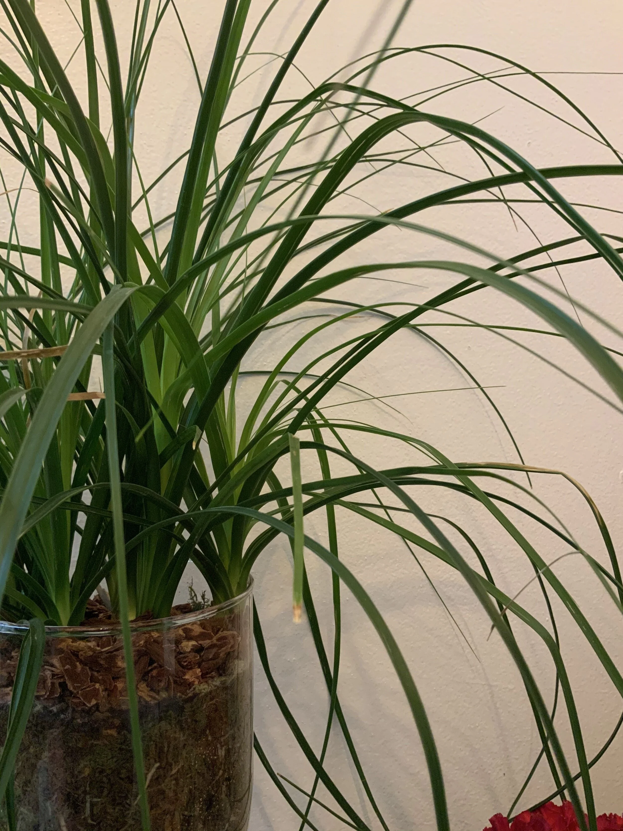  The mural features three, sensual, female figures relaxing in a watery and bubbly oasis. The mural is intended to empower women to feel confident, bold, and comfortable in their skin.  