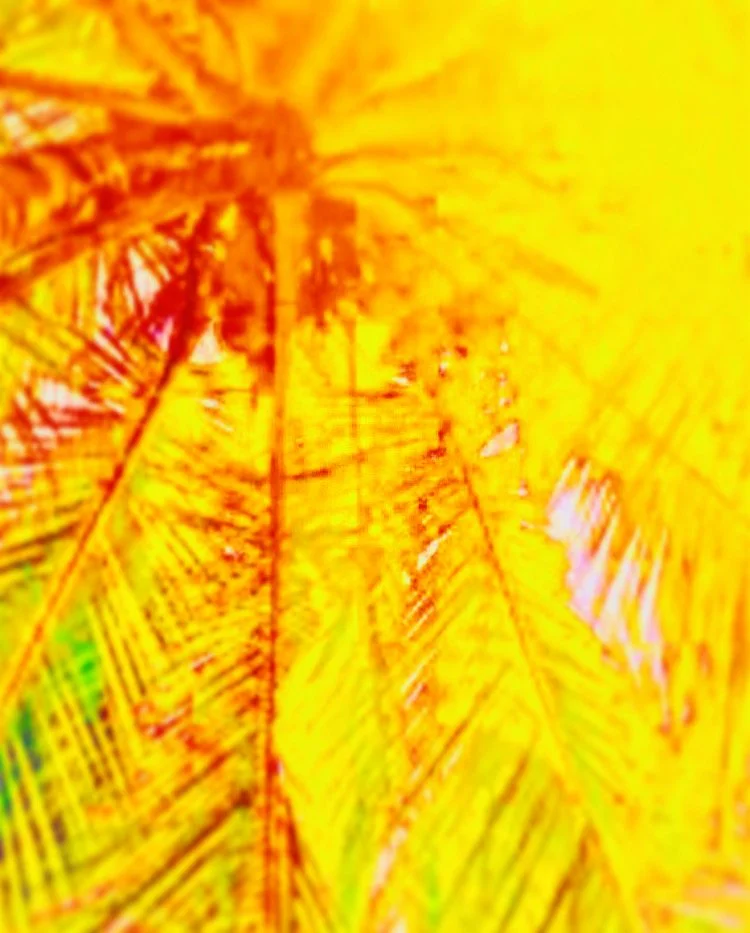 DJ's til Dusk: Music Is My Poison w/ Phil Banks (Copy)