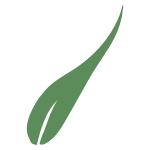 Leaf-03.png
