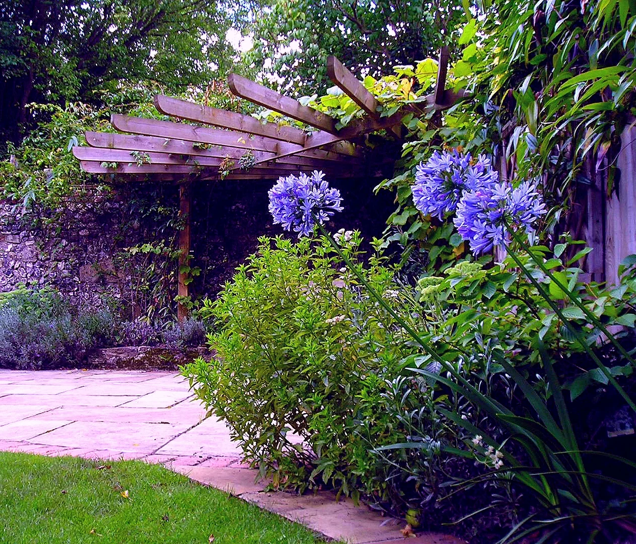 Carson trell P8060032.JPG