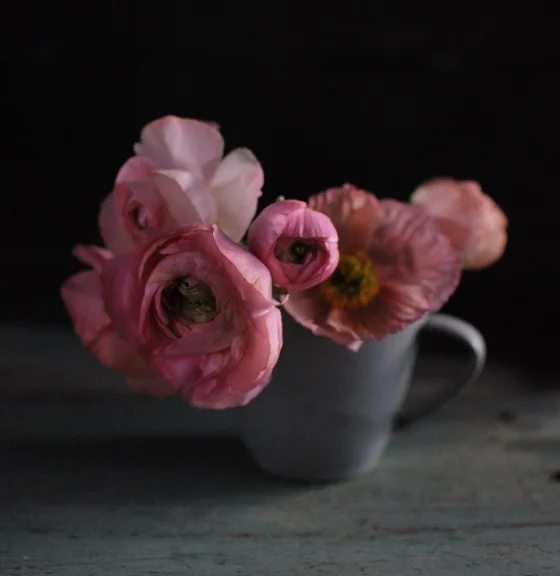 Agata Maszkiewicz Cup of Pink