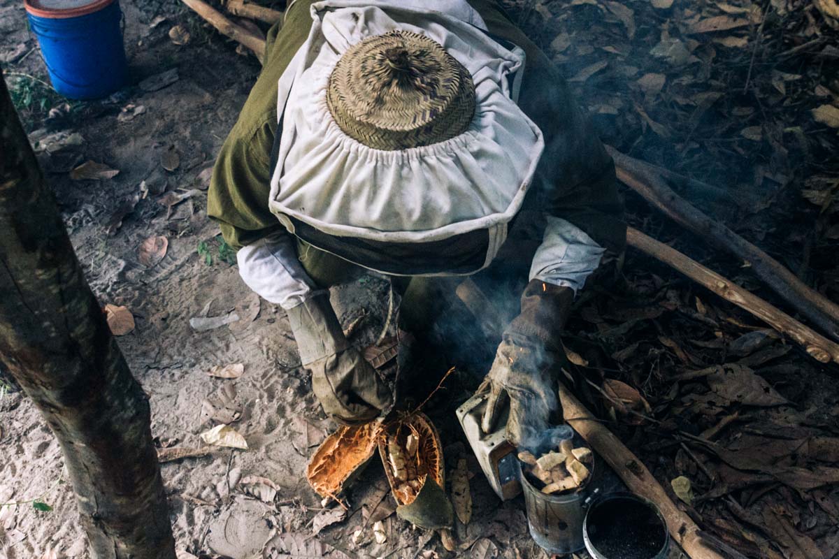 Shaame burns dried papaya in the bee smoker to calm down the bees.