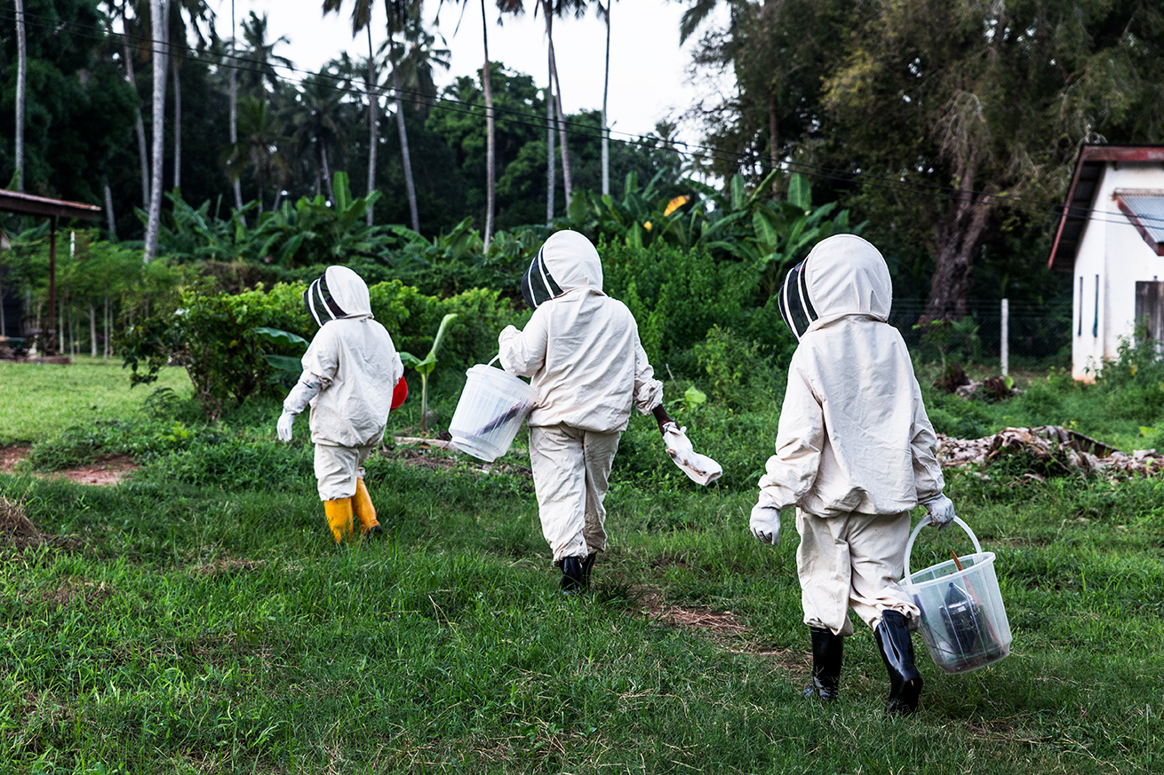 Barefoot College Zanzibar focuses on teaching women to tend hives. Here, three women walk back to the training center after checking the beehives.