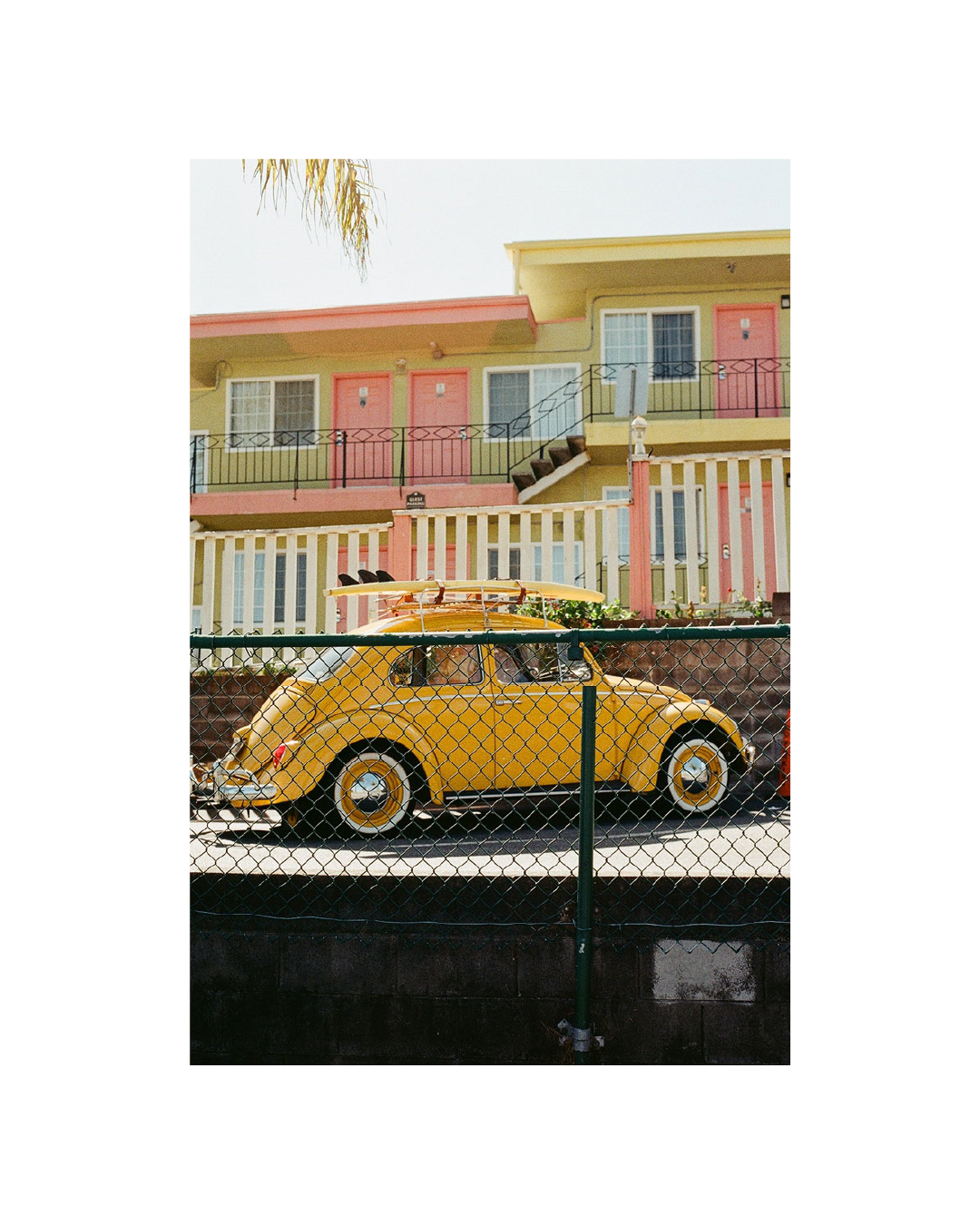 yellow bug@1080x.png