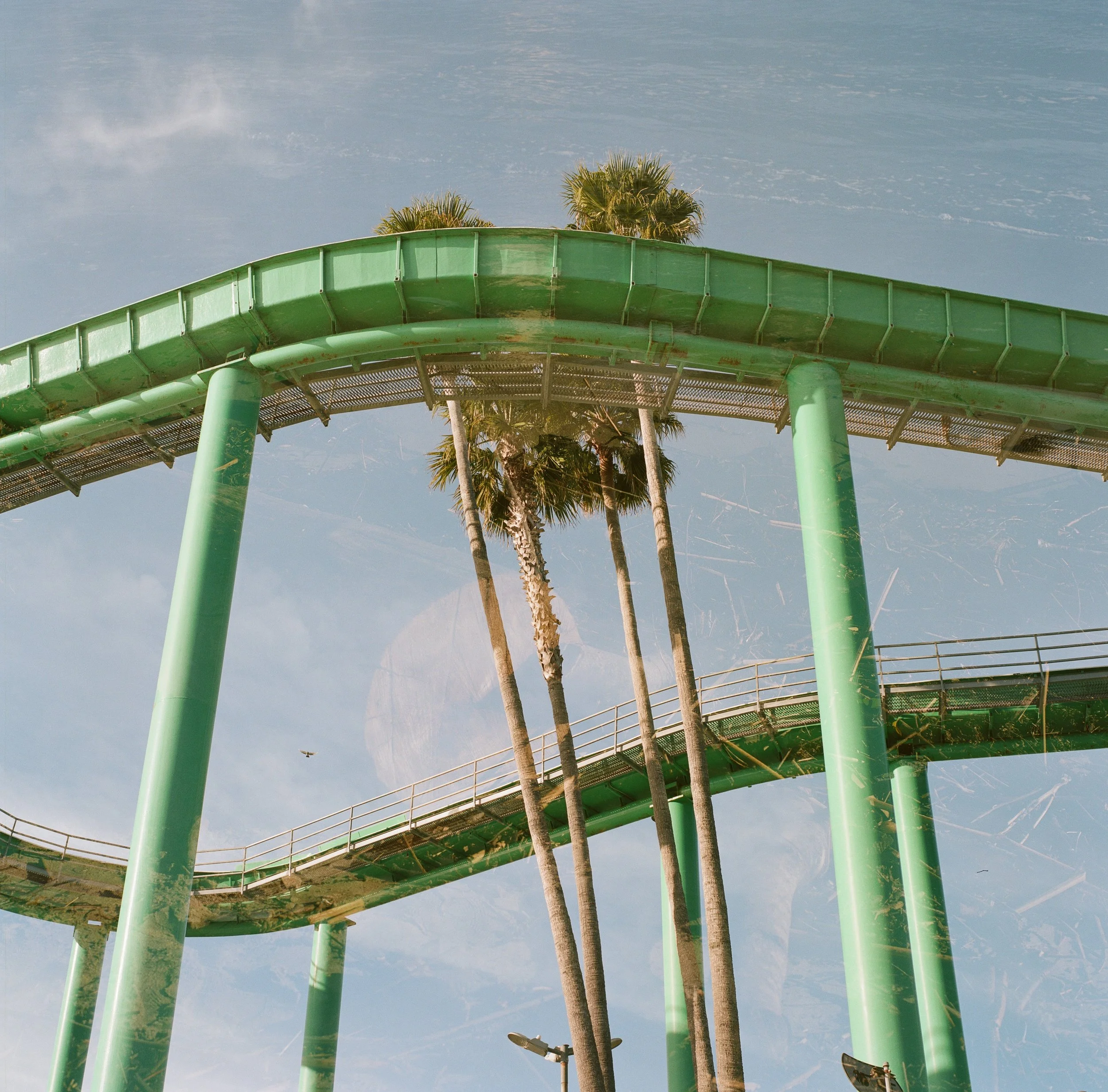 Palm Trees/Log Ride