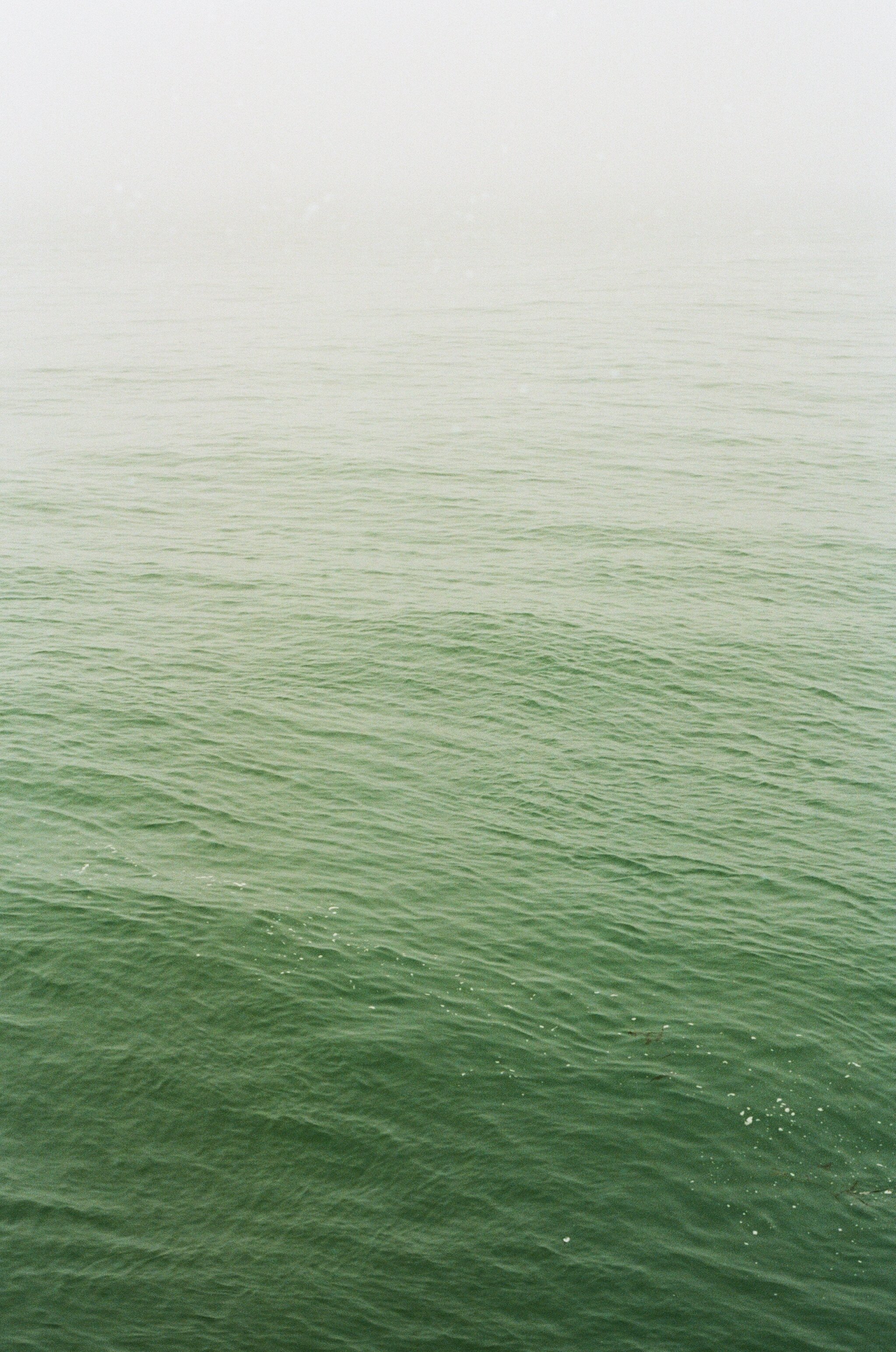wharf-ocean.jpg