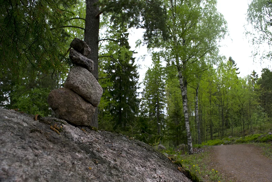_DSC0100.jpg