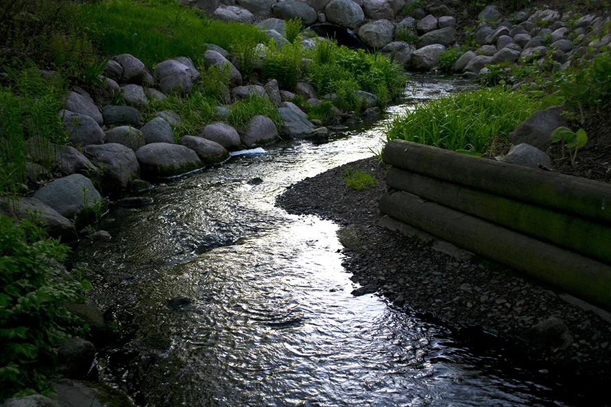 _DSC0088.jpg