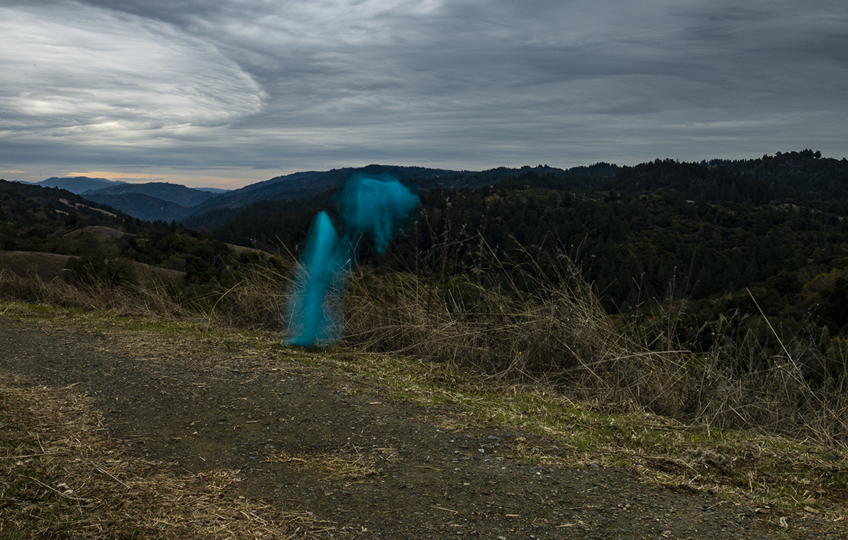 DSC_6873.jpg