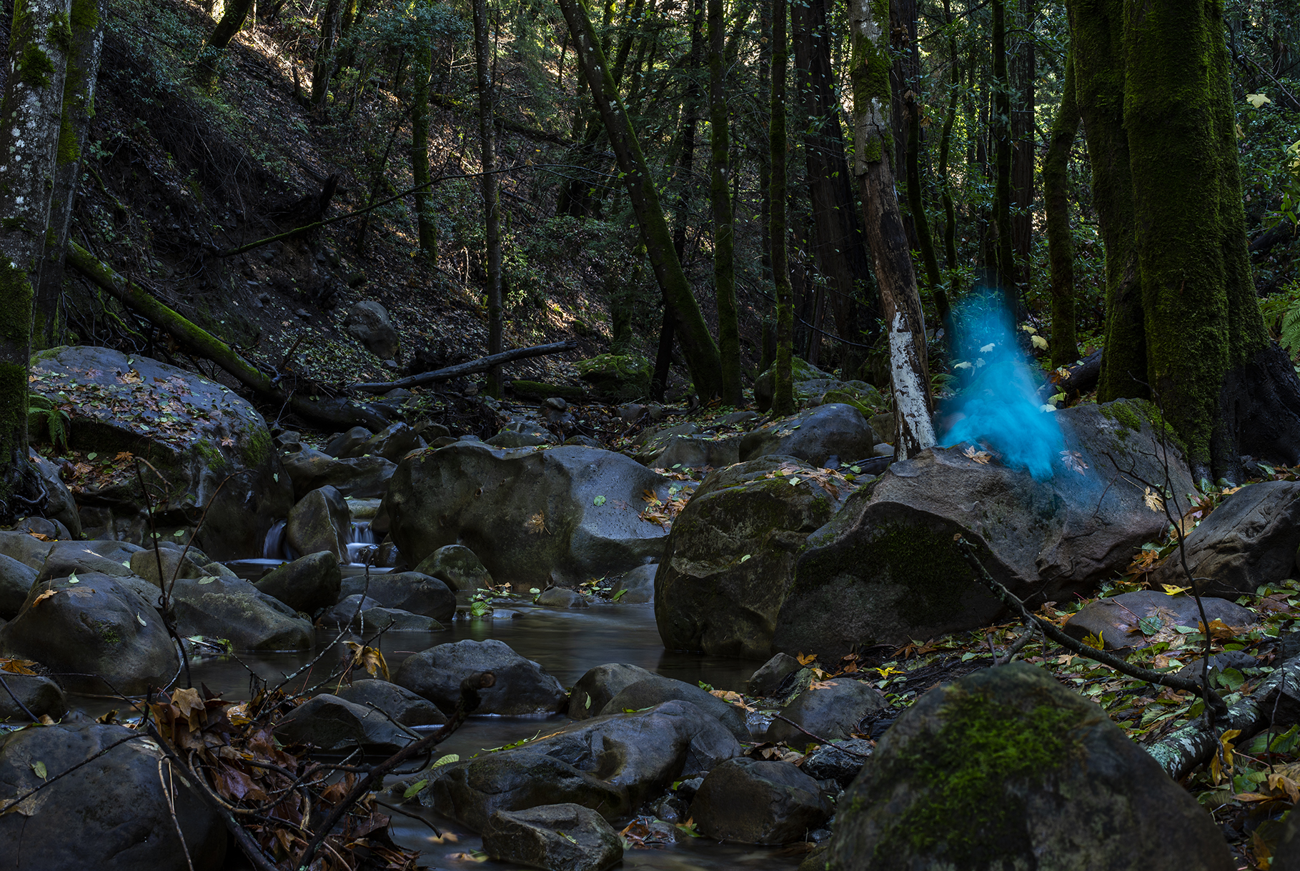 DSC_6993.jpg