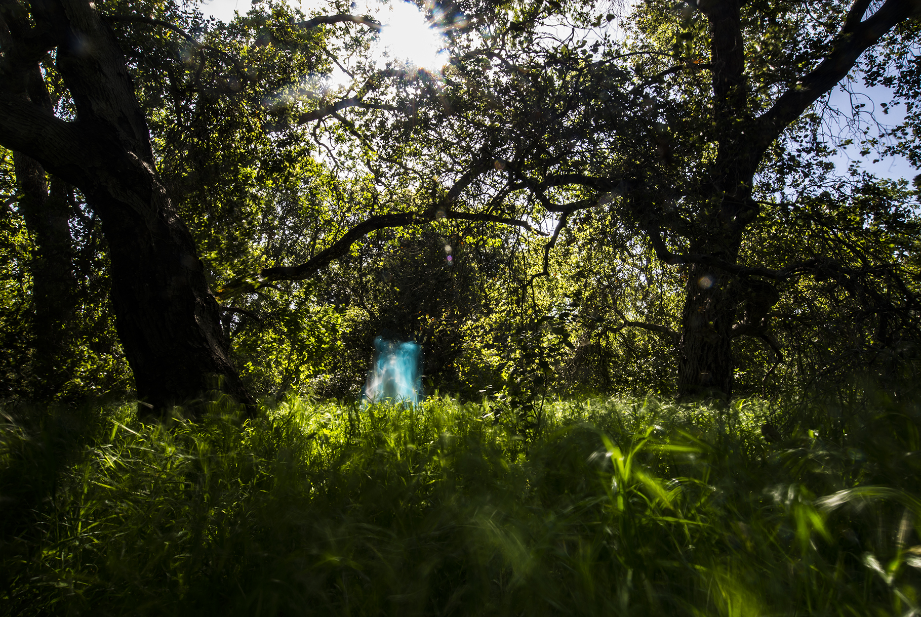 DSC_8600.jpg