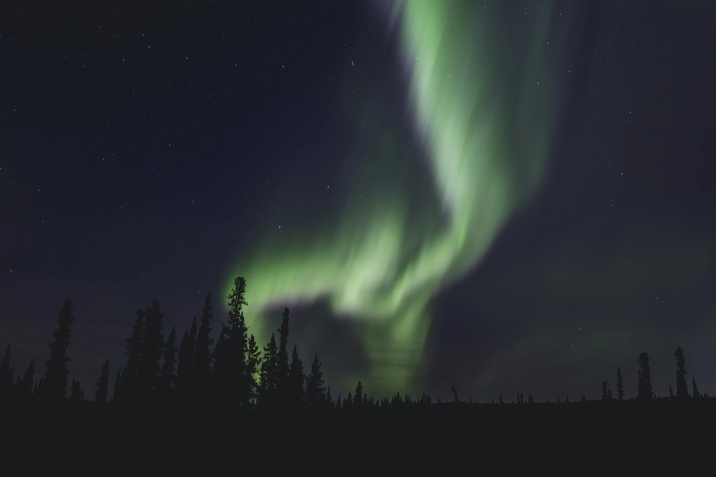 Here is a shot from Fairbanks, Alaska. The tree line presented a nice silhouette to contrast the bright green of the aurora borealis. This image was shot at a focal length of 35mm, f/1.4, 2.0 seconds, and and ISO of 640.