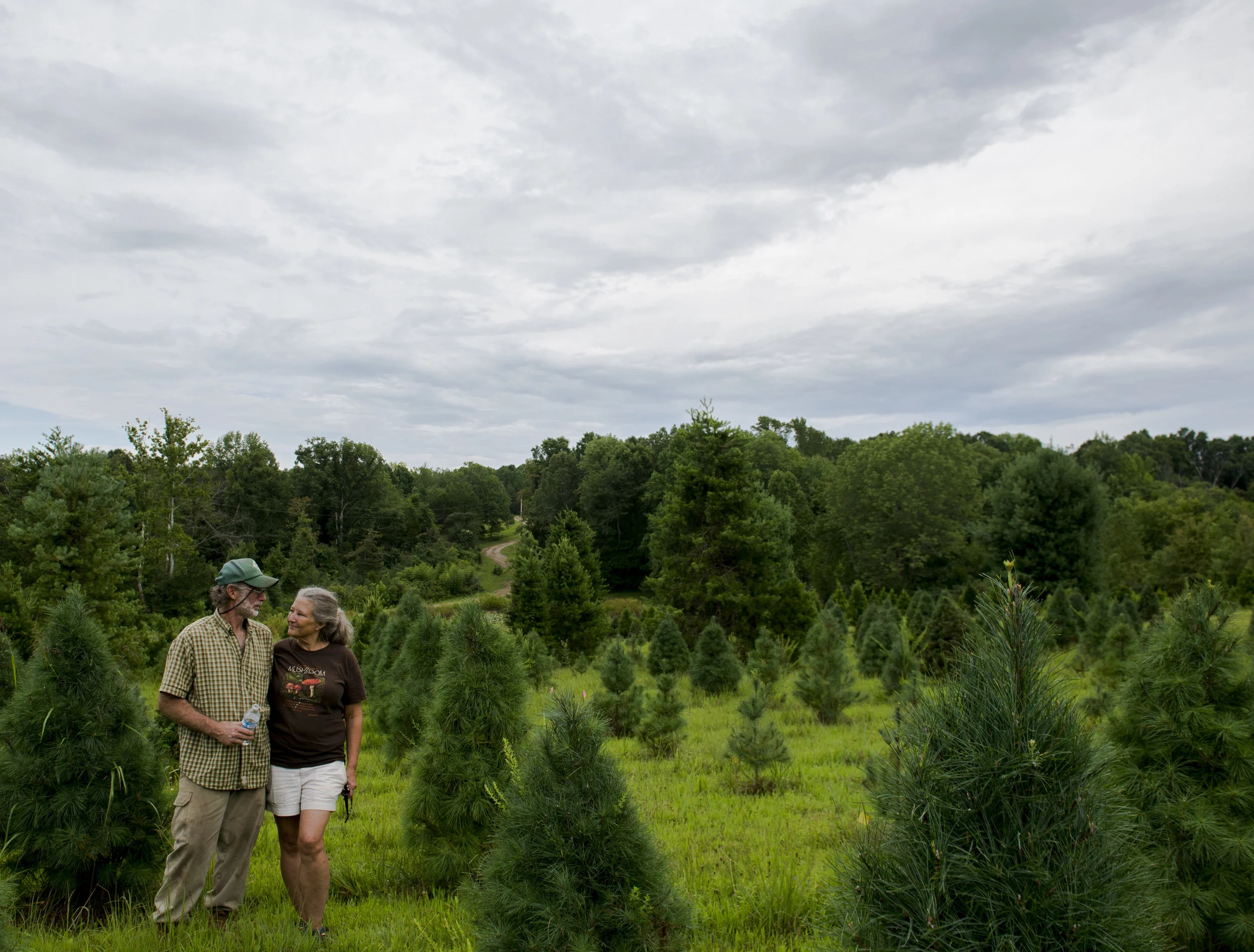  Owners of Erin's Farm, Gary and Linda Hamm, pose for a portrait among their growing Christmas trees on August 17, 2017. 