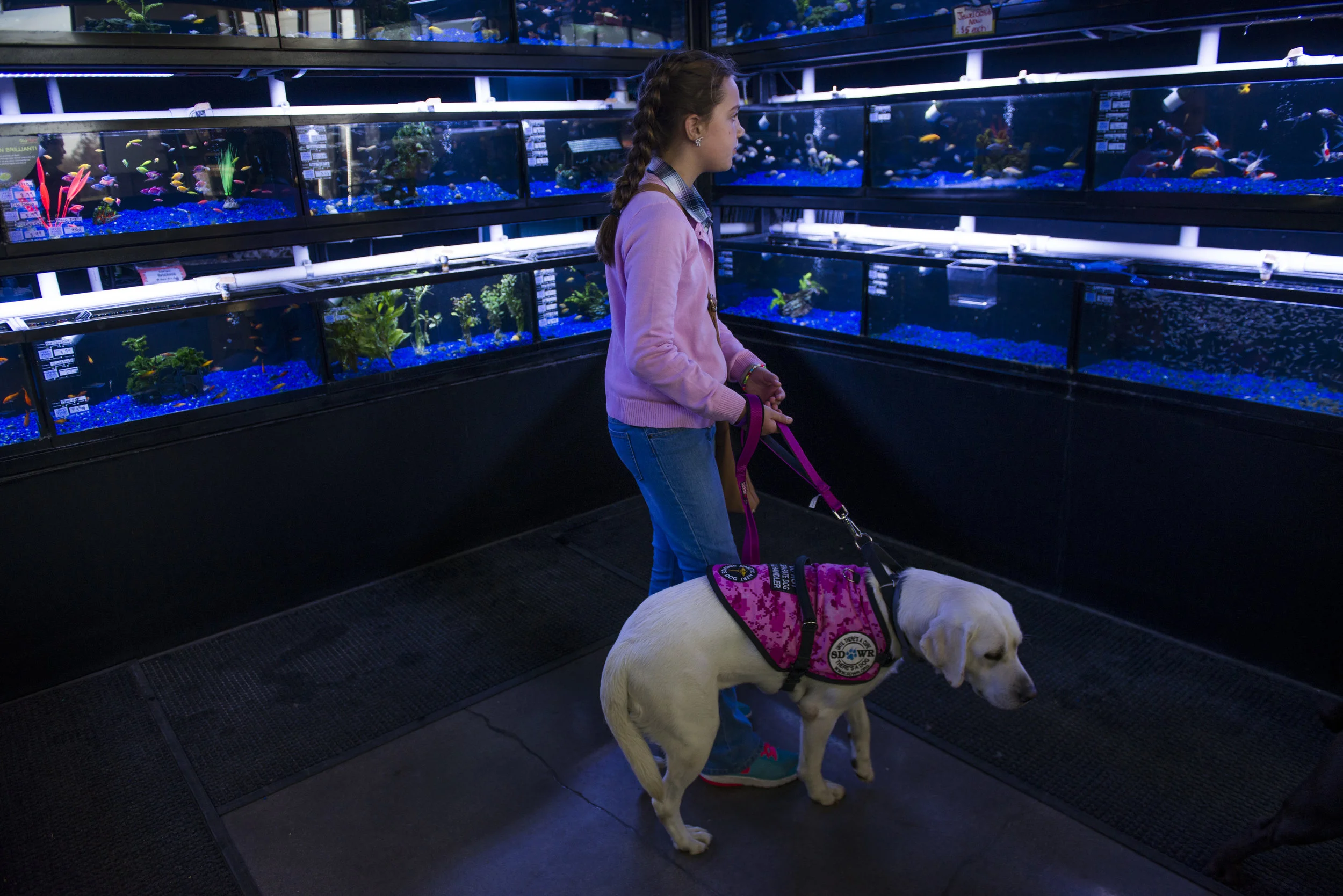  Haley Manns and her service dog Mavis wander through Pet Food Center in Clarksville. Part of the initial bonding process includes going into public places together for the first time.&nbsp;&nbsp;Erica Brechtelsbauer/The Leaf-Chronicle  http://leafne