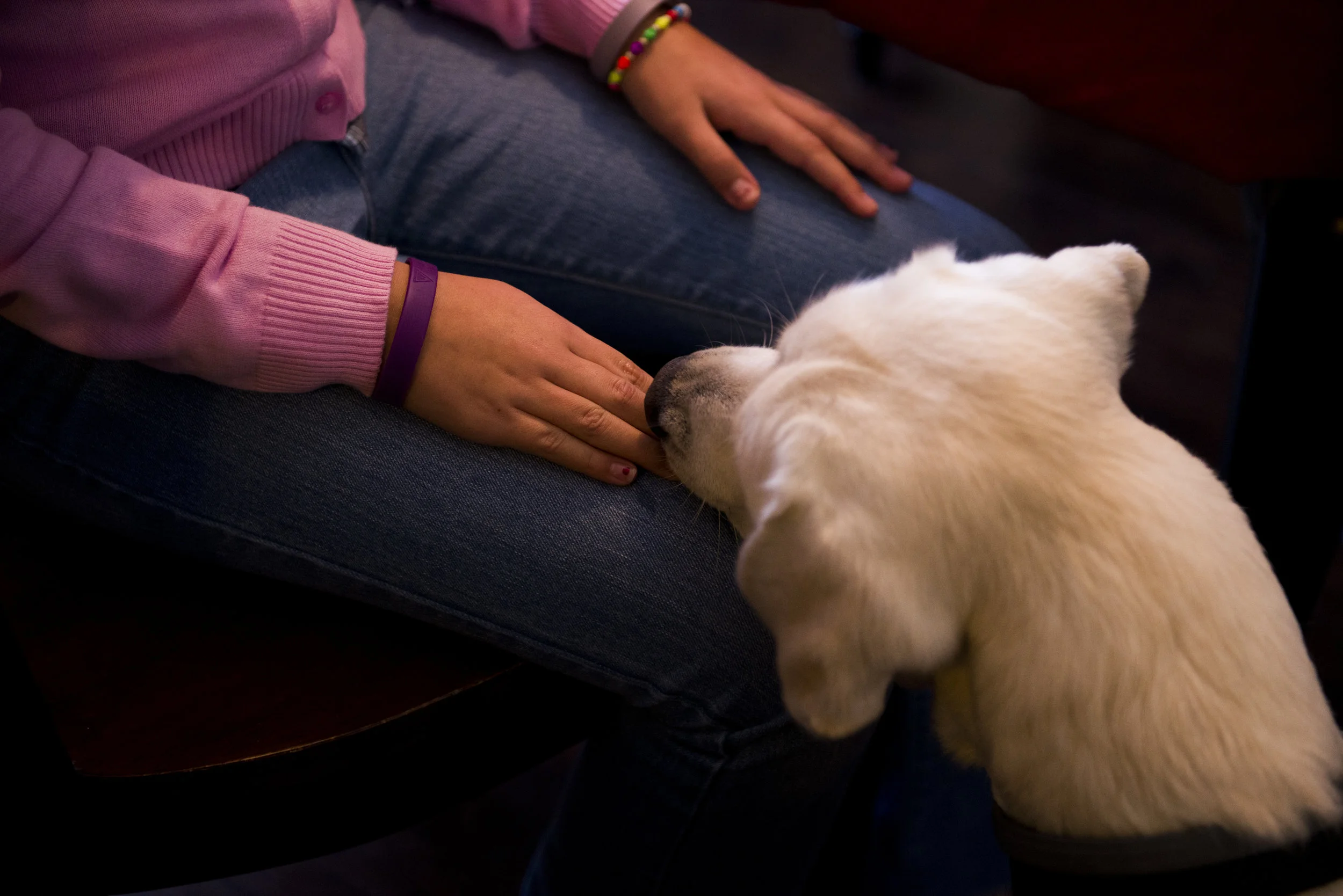  Mavis sniffs Haley's hand after checking her blood sugar levels on November 14, 2017.&nbsp;&nbsp;Erica Brechtelsbauer/The Leaf-Chronicle 