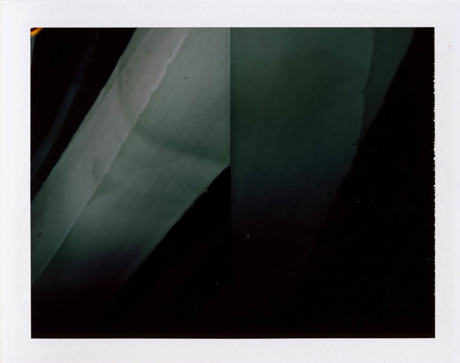  I.D.001, The Polaroid Revolutionary Workers, 2013, Polaroid Picture, 107mm x 86mm 