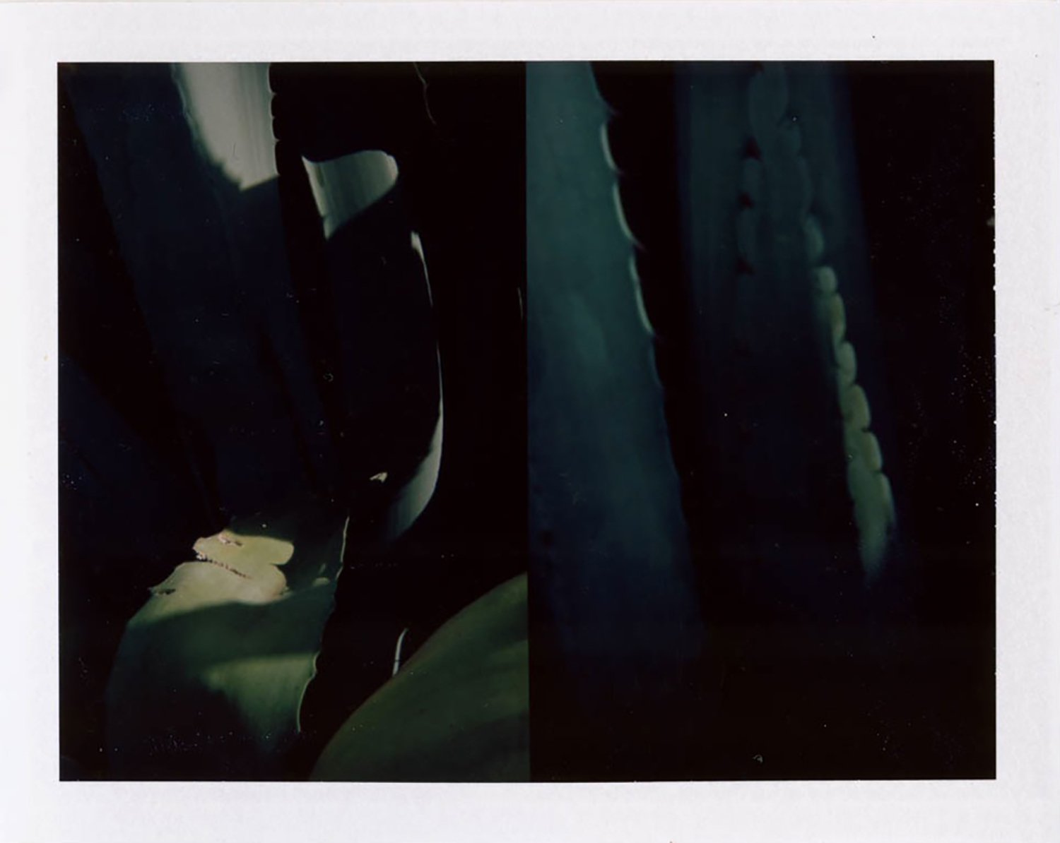  I.D.003, The Polaroid Revolutionary Workers, 2013, Polaroid Picture, 107mm x 86mm 