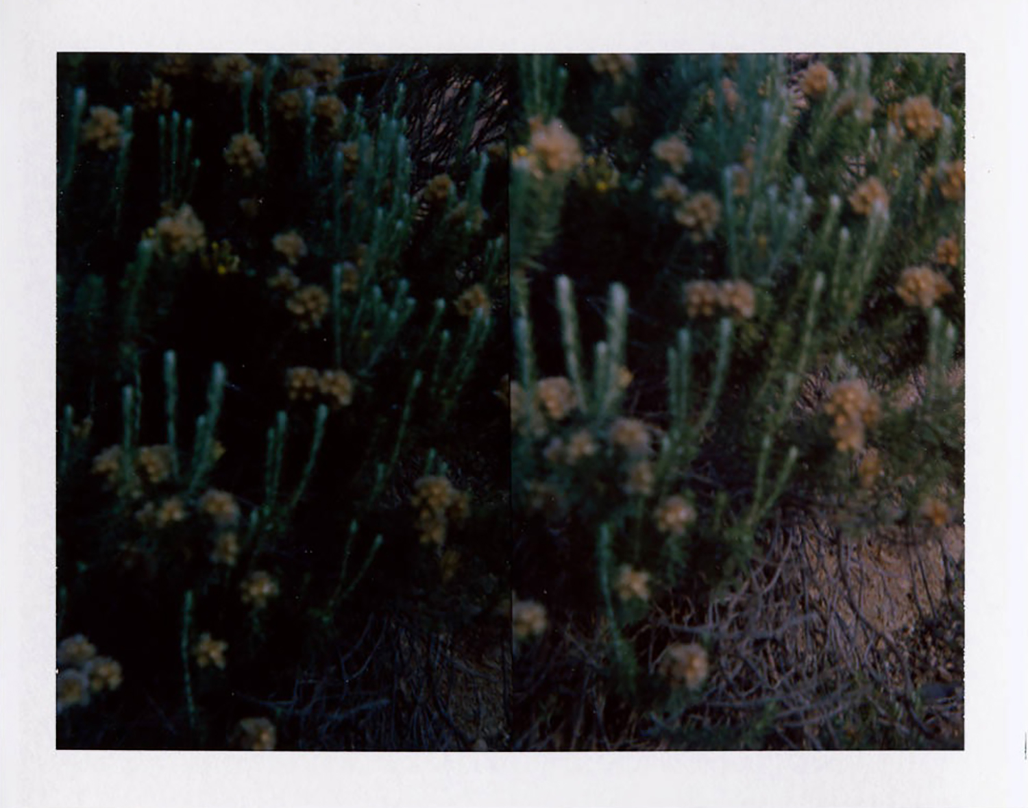  I.D.006, The Polaroid Revolutionary Workers, 2013, Polaroid Picture, 107mm x 86mm 