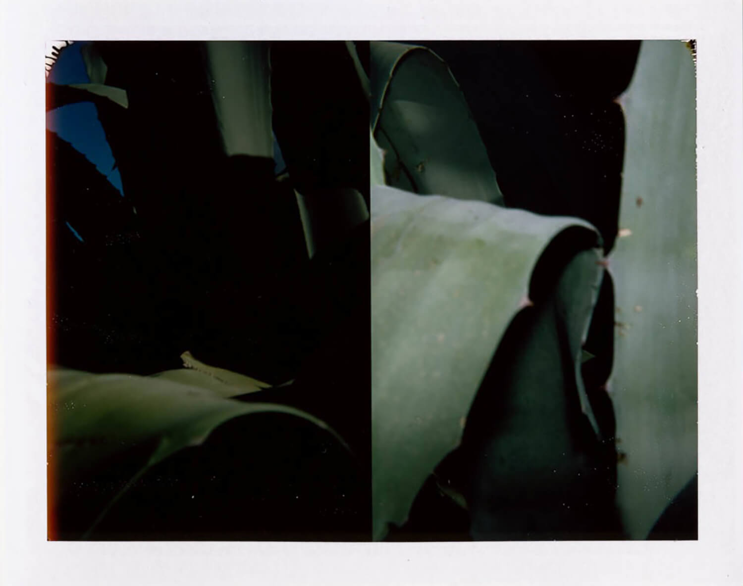  I.D.016, The Polaroid Revolutionary Workers, 2013, Polaroid Picture, 107mm x 86mm&nbsp; 