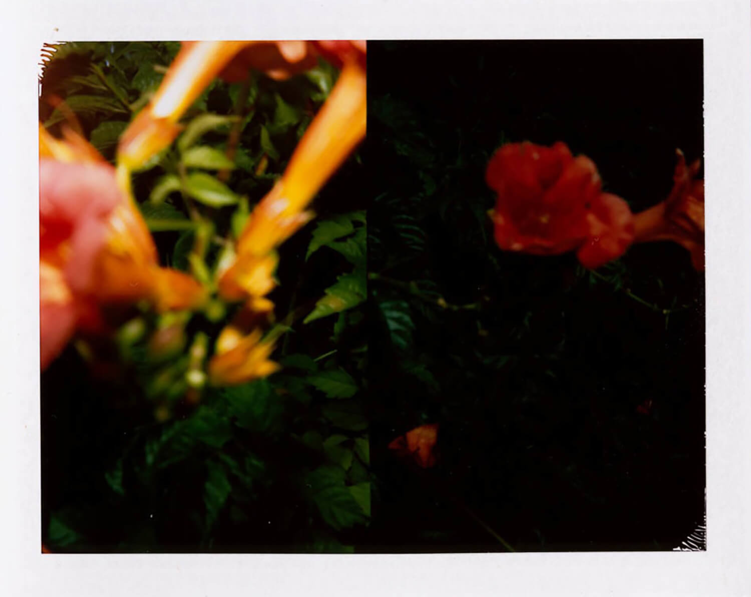  I.D.031, The Polaroid Revolutionary Workers, 2013, Polaroid Picture, 107mm x 86mm 