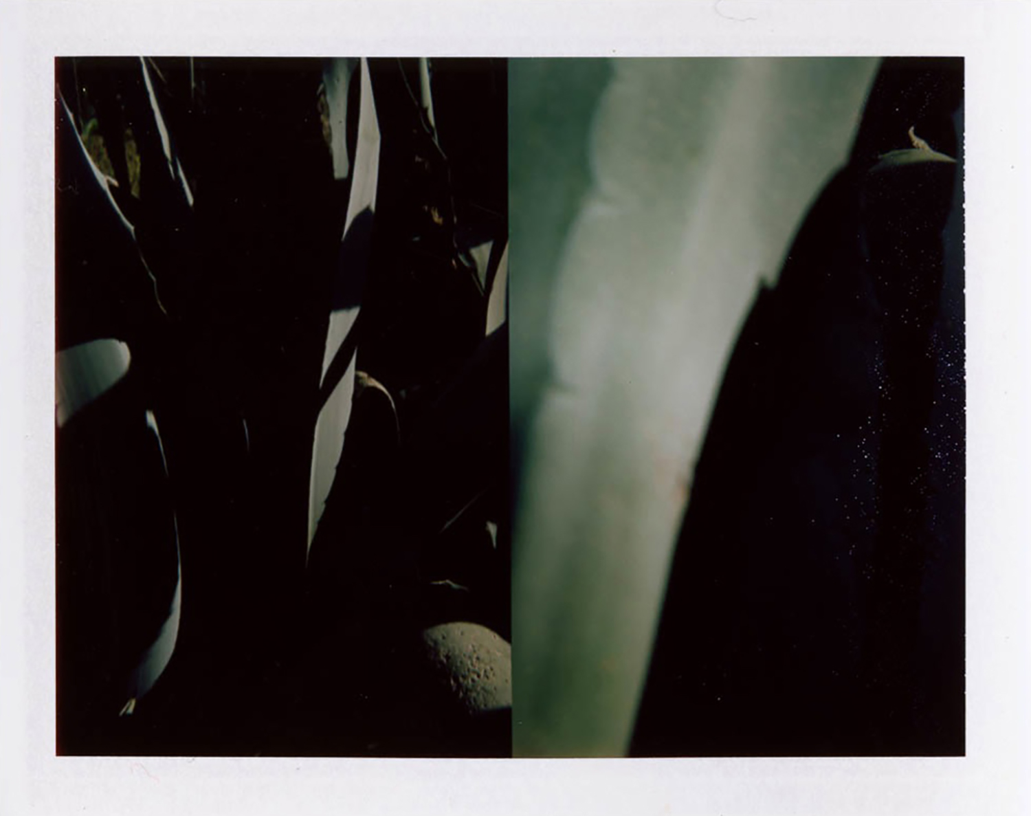  I.D.021, The Polaroid Revolutionary Workers, 2013, Polaroid Picture, 107mm x 86mm 