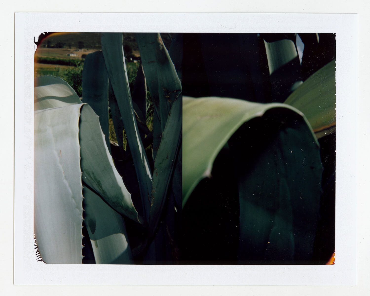  I.D.066, The Polaroid Revolutionary Workers, 2013, Polaroid Picture, 107mm x 86mm 