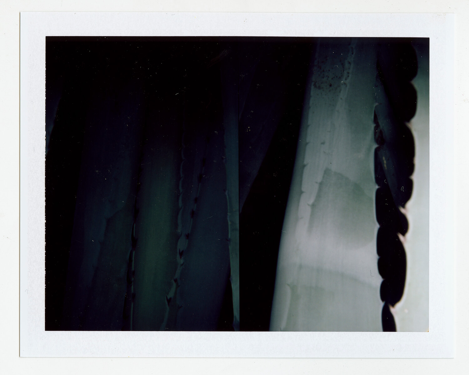  I.D.065, The Polaroid Revolutionary Workers, 2013, Polaroid Picture, 107mm x 86mm 