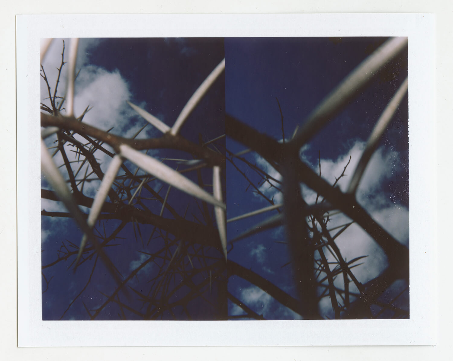  I.D.067, The Polaroid Revolutionary Workers, 2013, Polaroid Picture, 107mm x 86mm 