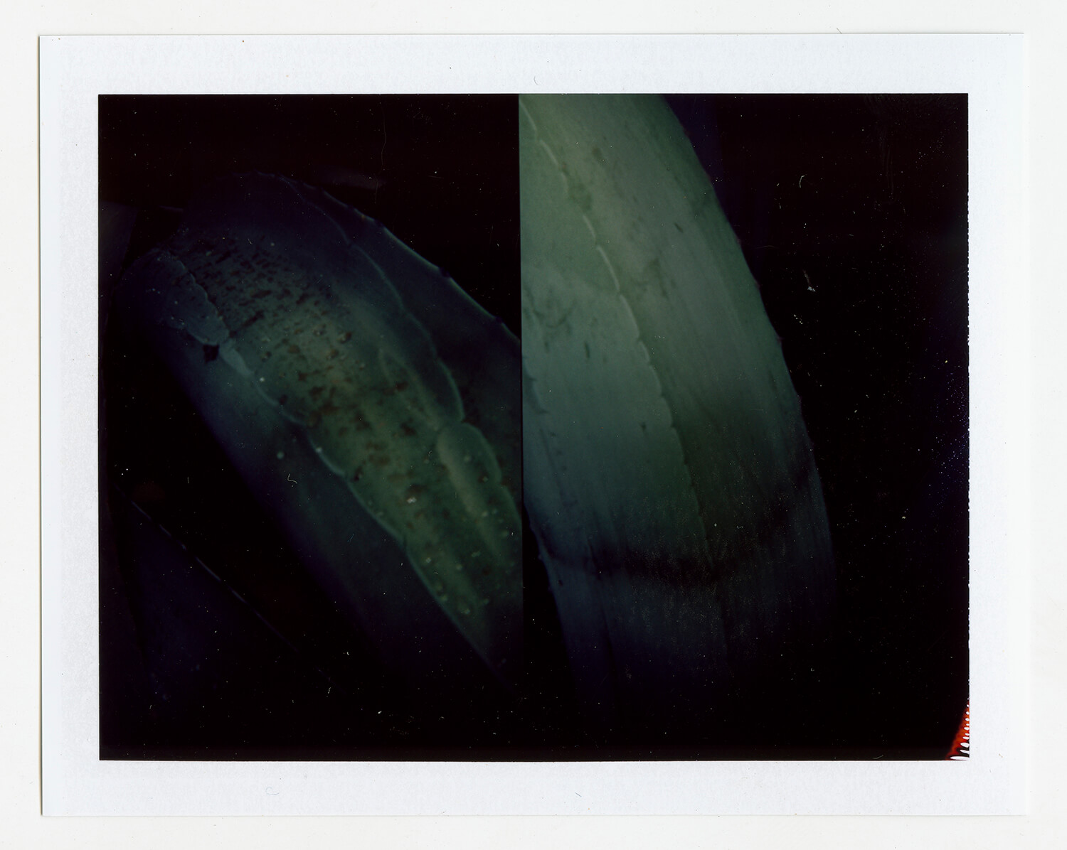  I.D.068, The Polaroid Revolutionary Workers, 2013, Polaroid Picture, 107mm x 86mm 