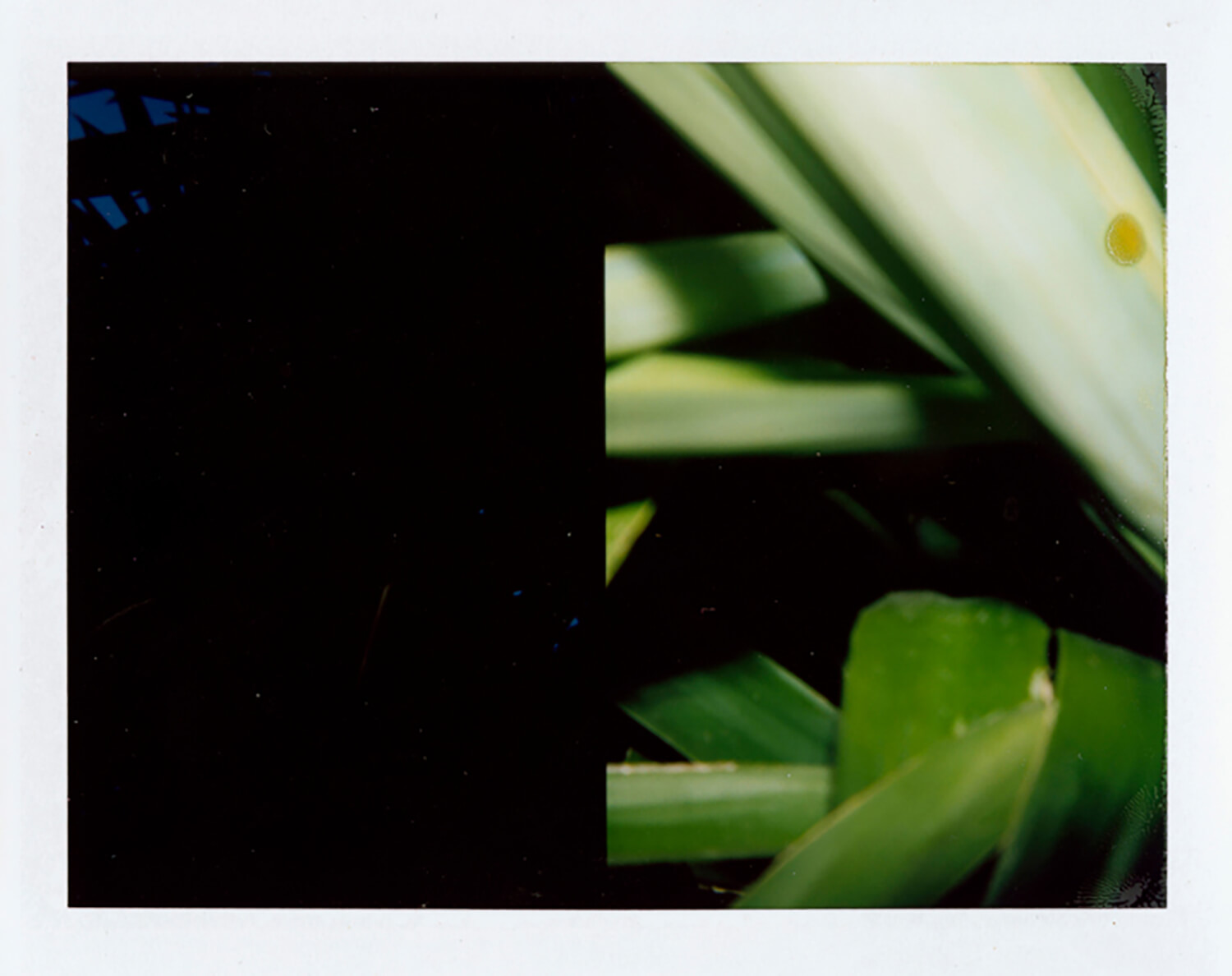  I.D.070, The Polaroid Revolutionary Workers, 2013, Polaroid Picture, 107mm x 86mm 