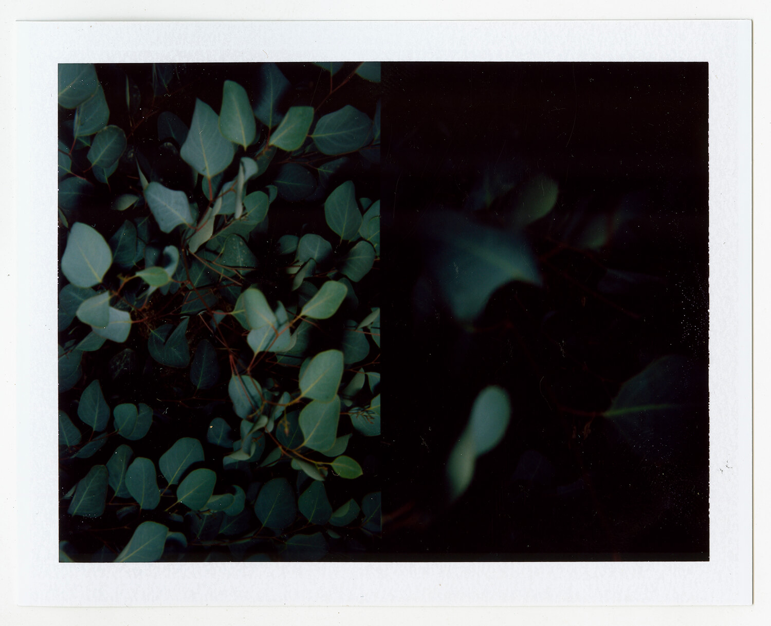  I.D.074, The Polaroid Revolutionary Workers, 2013, Polaroid Picture, 107mm x 86mm 