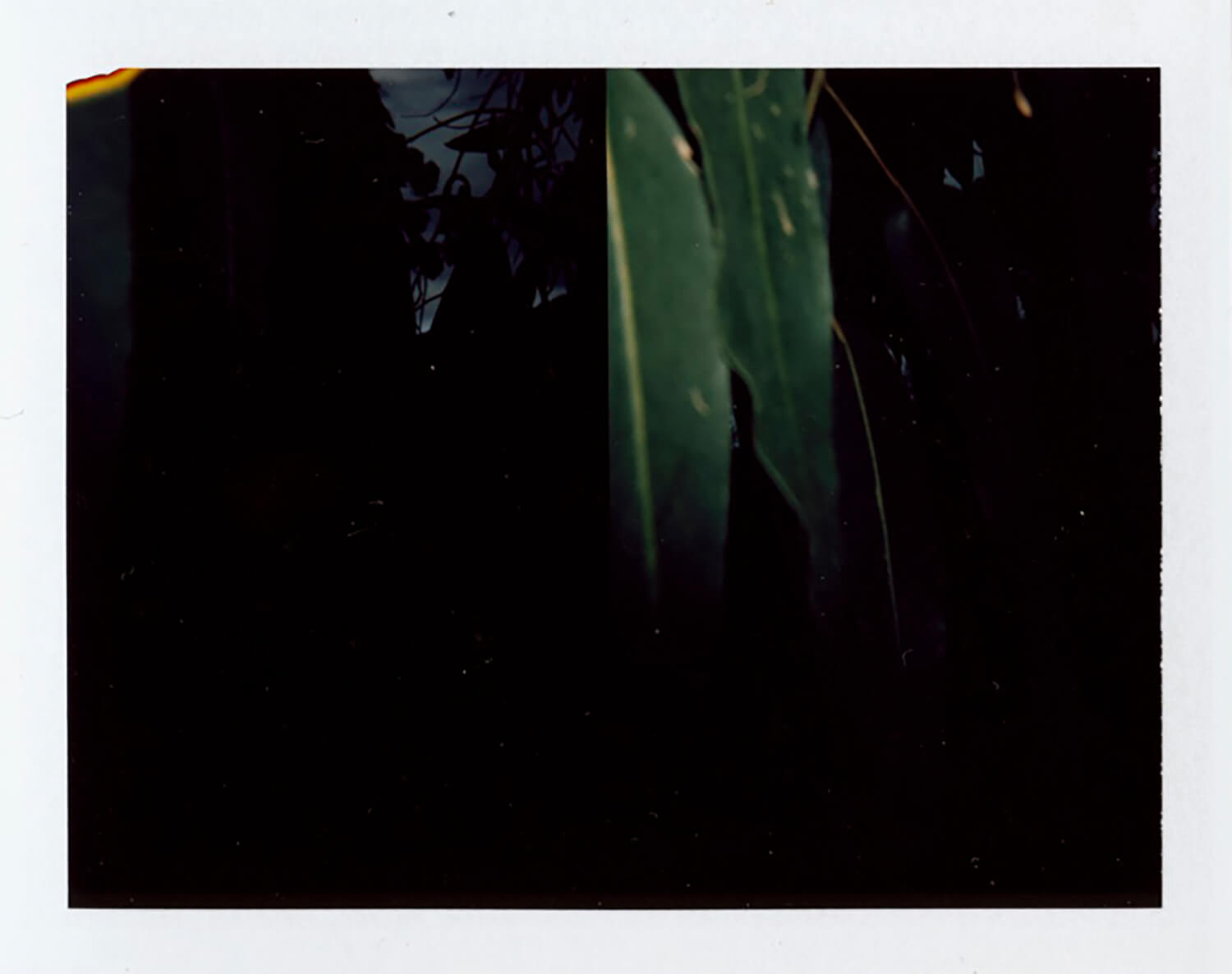  I.D.079, The Polaroid Revolutionary Workers, 2013, Polaroid Picture, 107mm x 86mm 